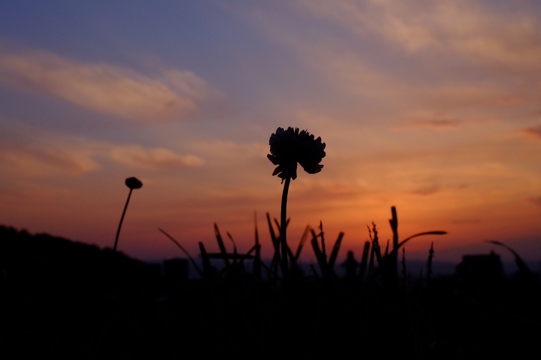 Fujifilm X-A1 sample photo