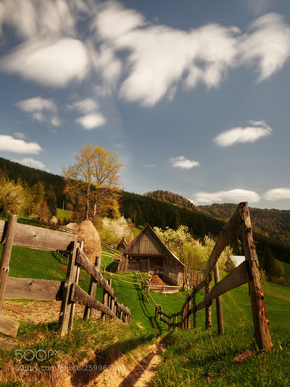 Nikon D850 sample photo. Stable in carpathian mountains photography