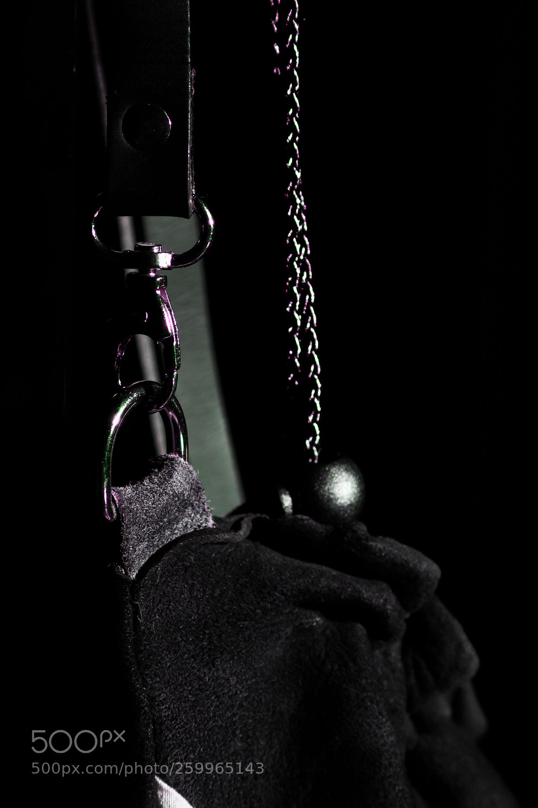 Canon EOS 5D Mark IV sample photo. Still life bag photography