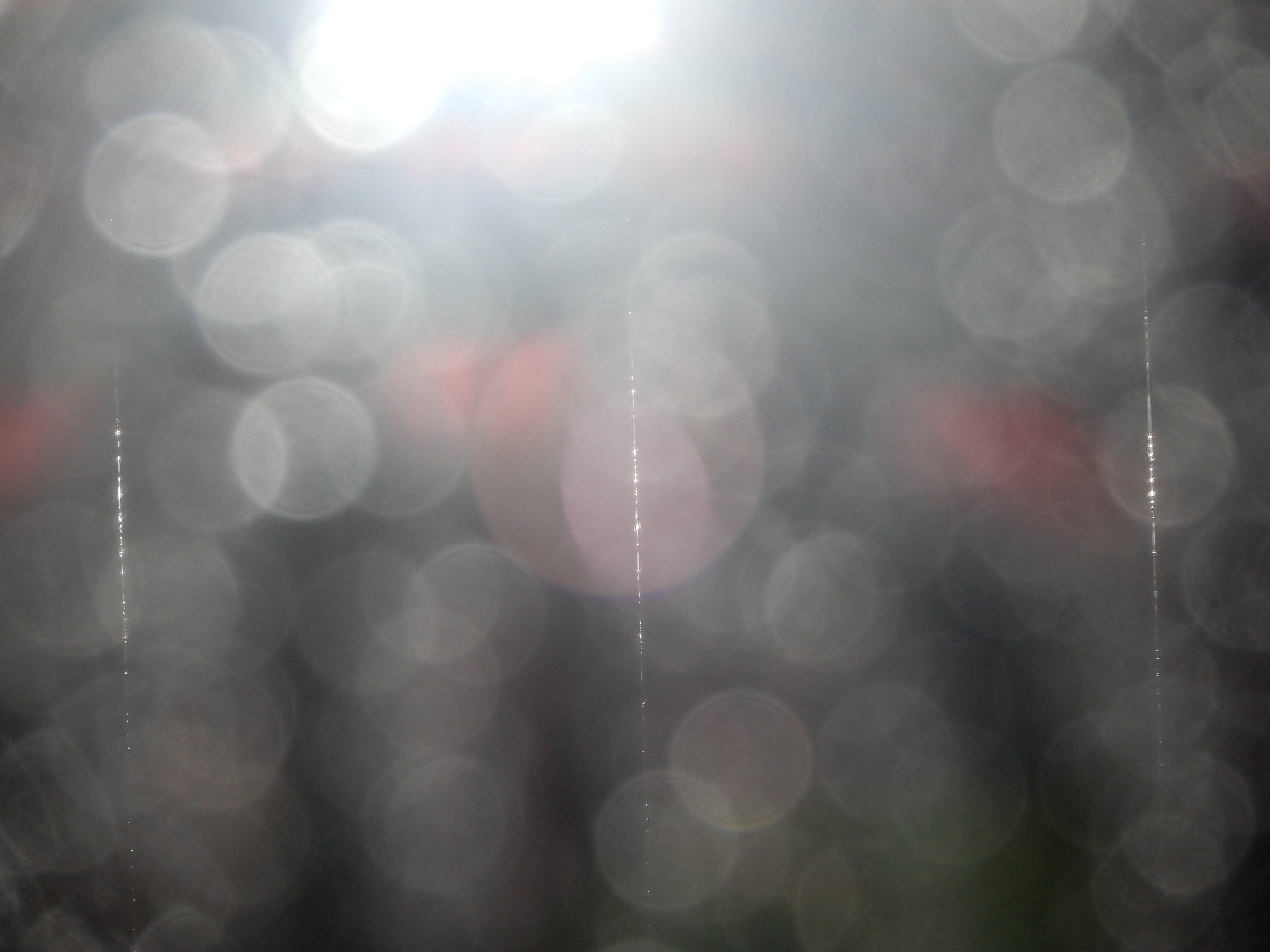 Nikon Coolpix A900 sample photo. Light and rain photography