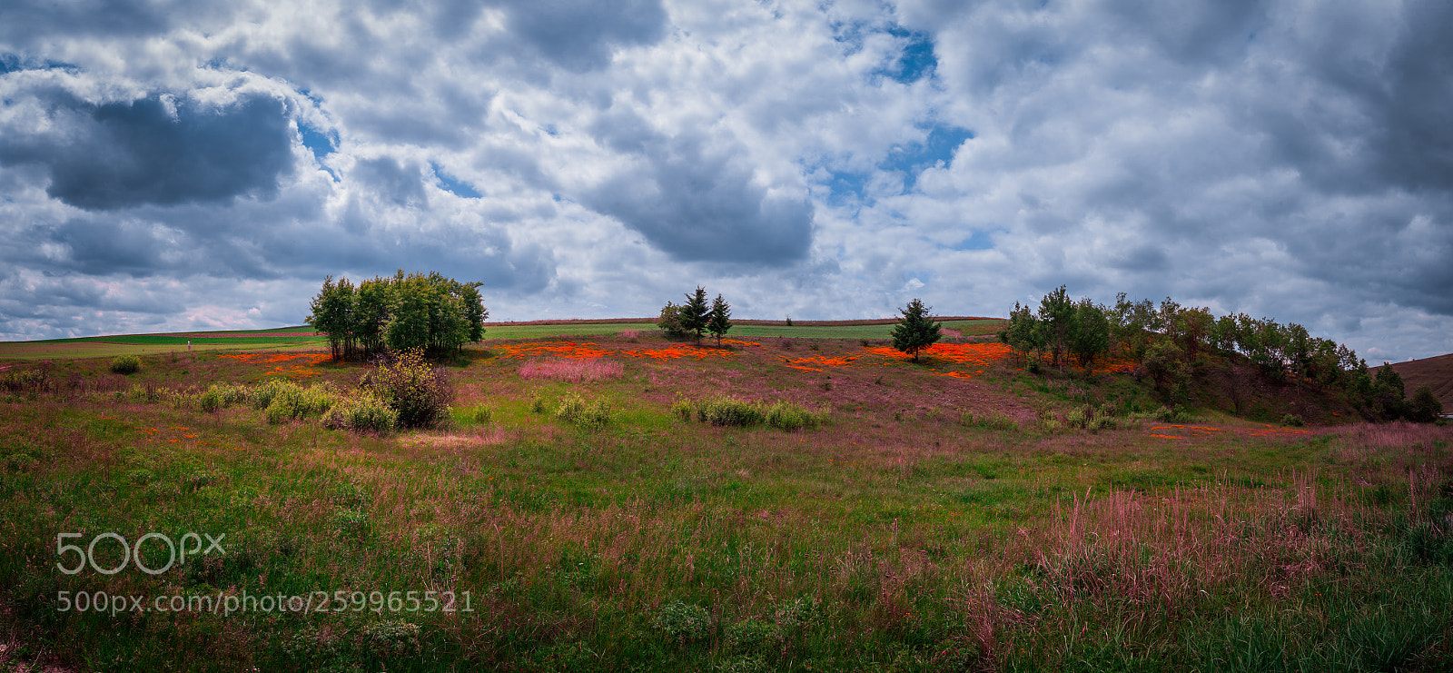 Nikon D750 sample photo. Roadview pano photography