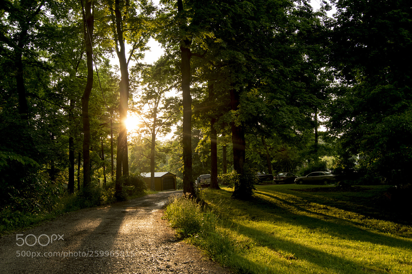 Nikon D3200 sample photo. Sunshine photography