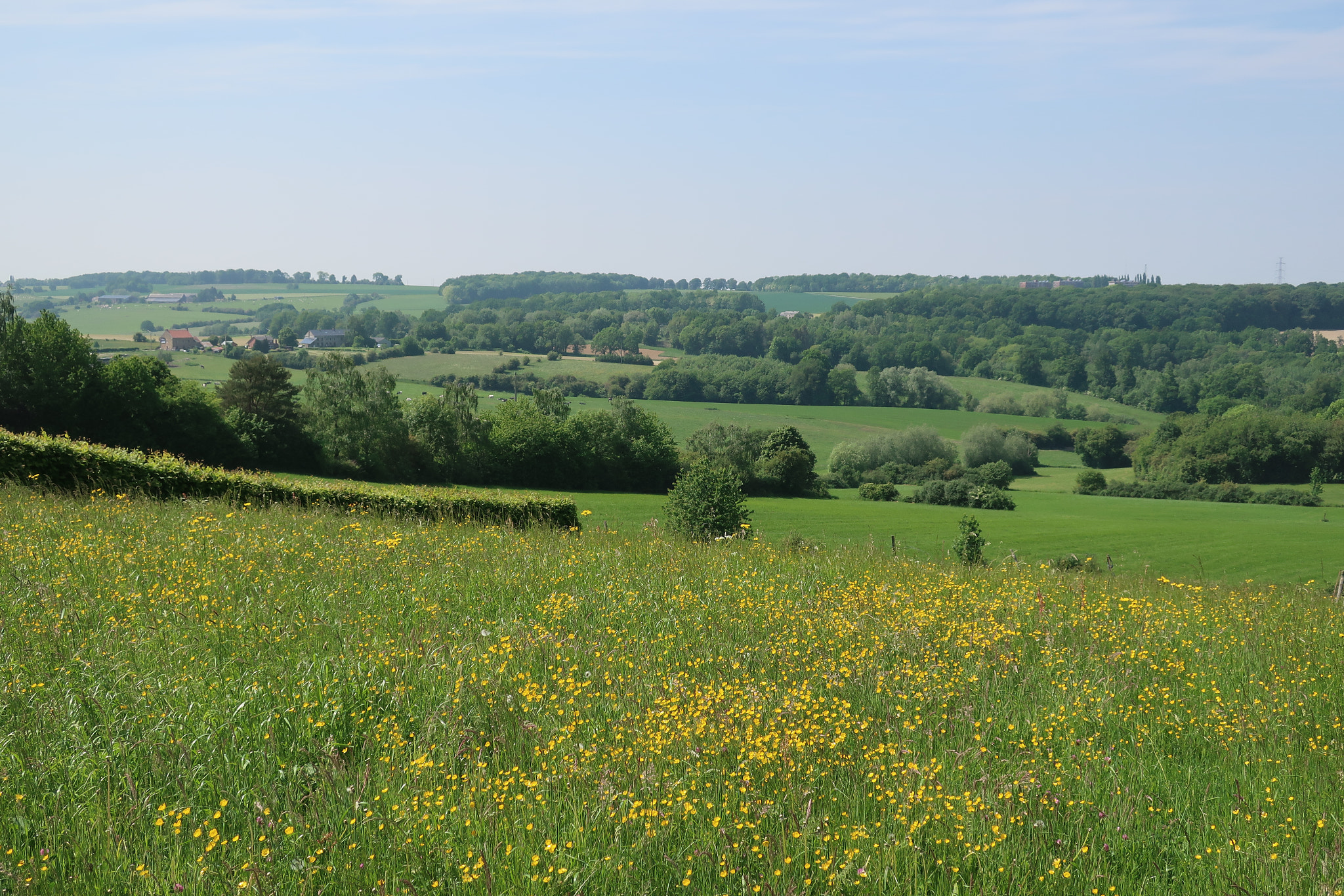 Canon PowerShot G9 X Mark II sample photo. Typical landscape near andenne. photography