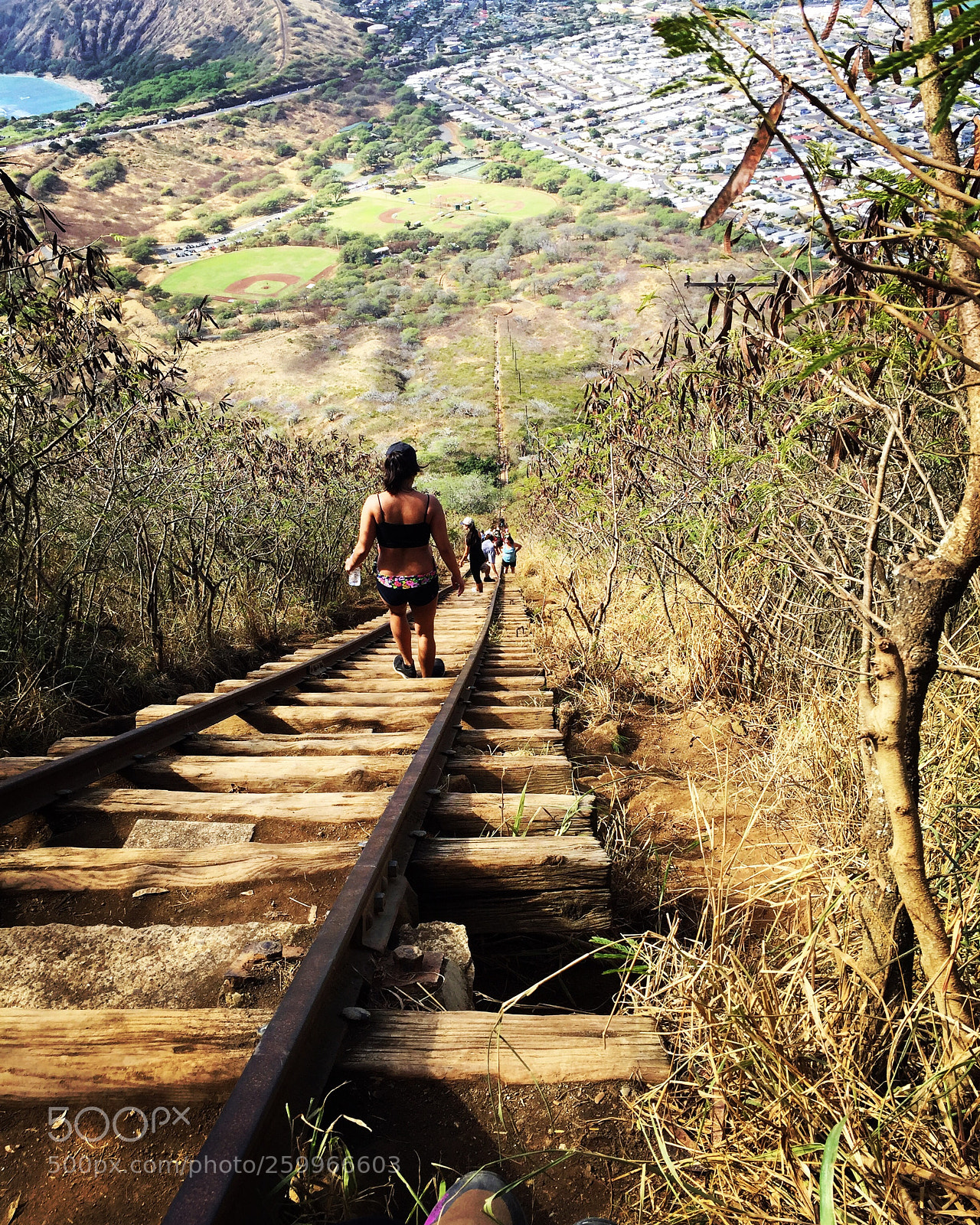 Apple iPhone 6 sample photo. Koko crater trail bridge photography