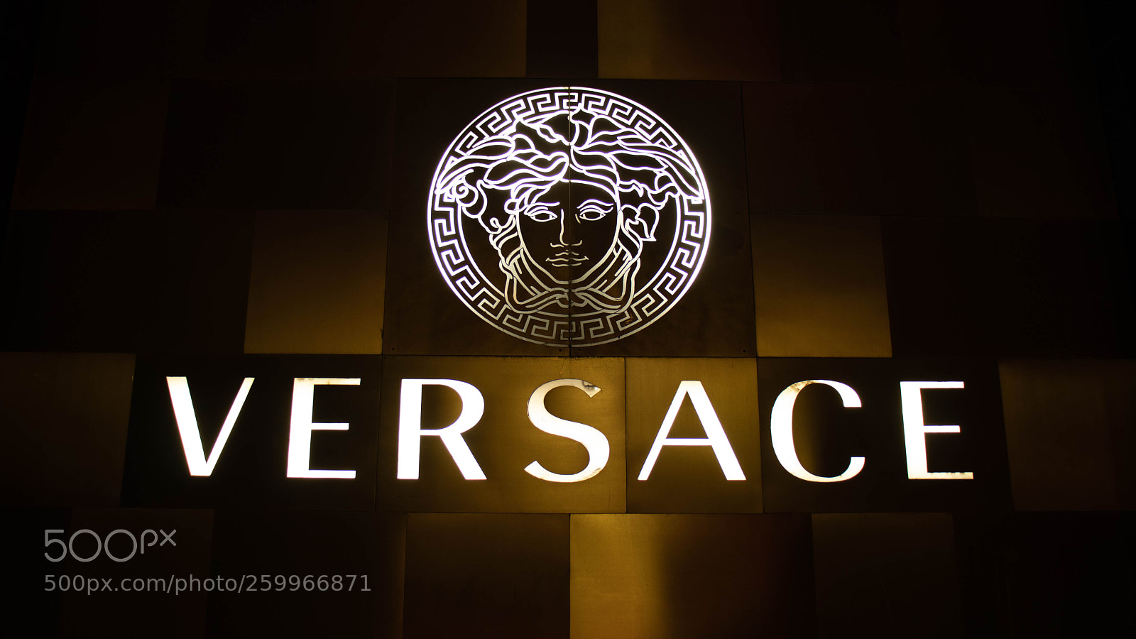 Canon EOS 200D (EOS Rebel SL2 / EOS Kiss X9) sample photo. Versace photography