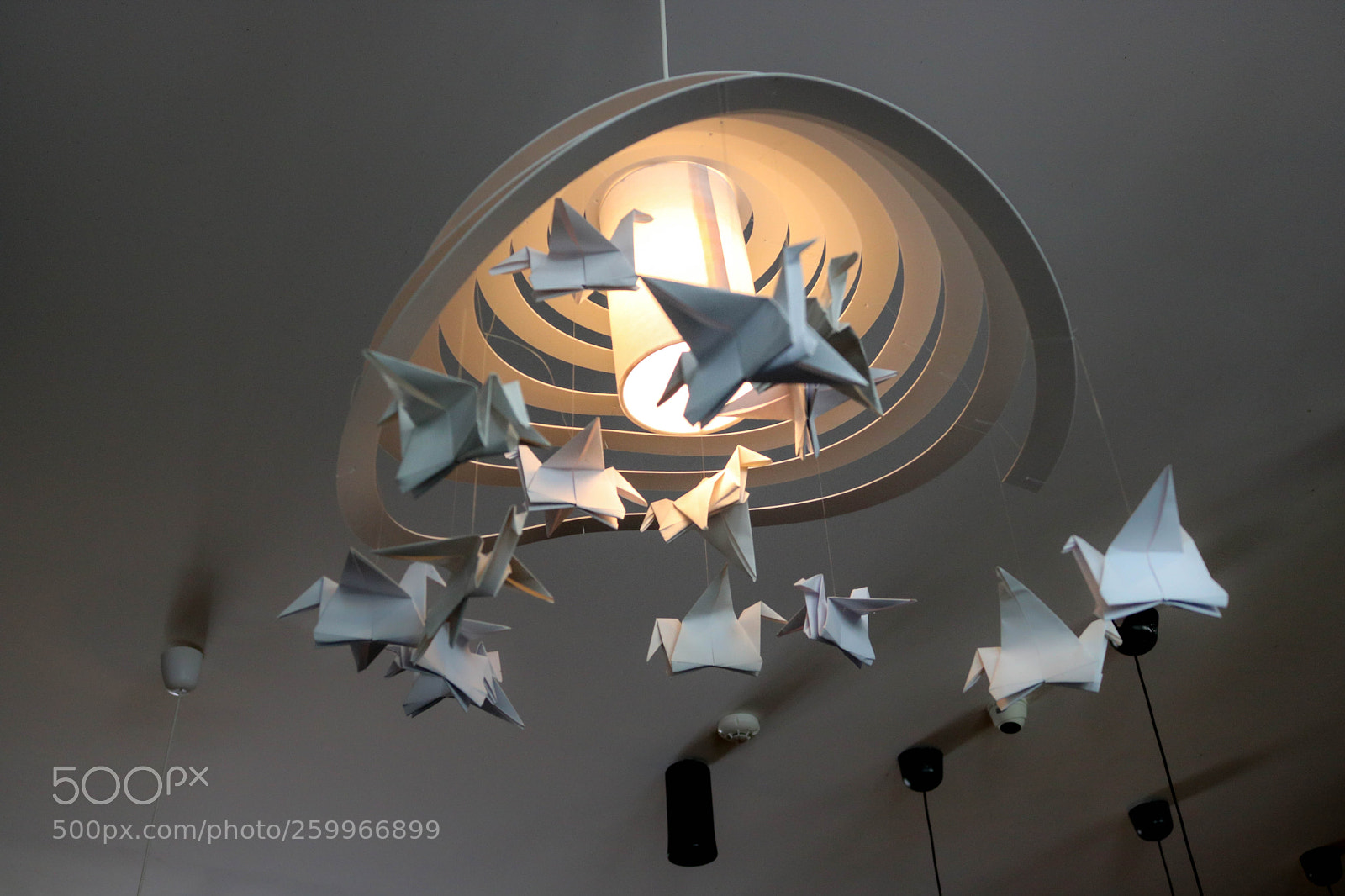 Canon EOS 750D (EOS Rebel T6i / EOS Kiss X8i) sample photo. Paper wings photography