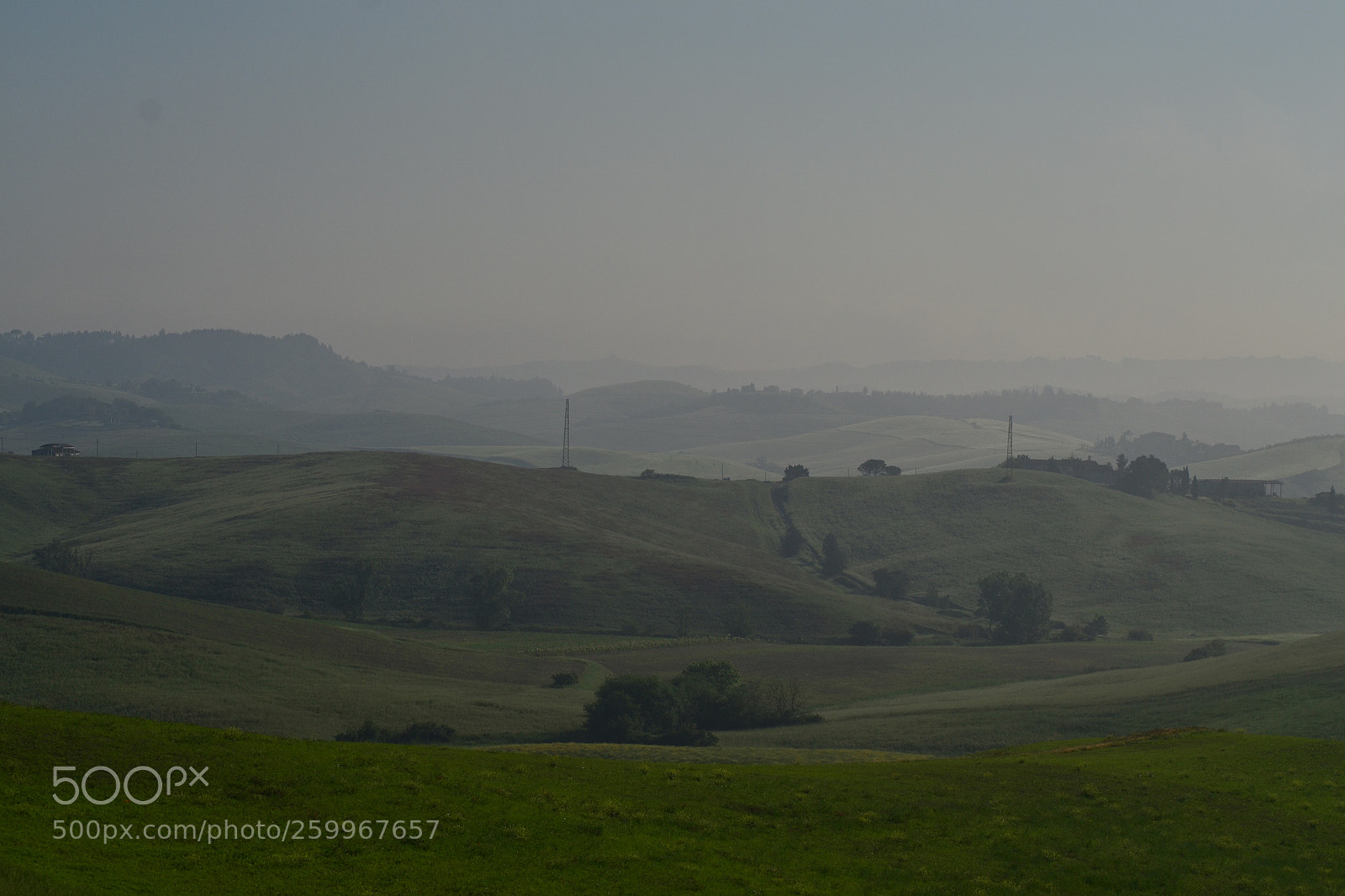Nikon D3100 sample photo. Foschia mattutina photography