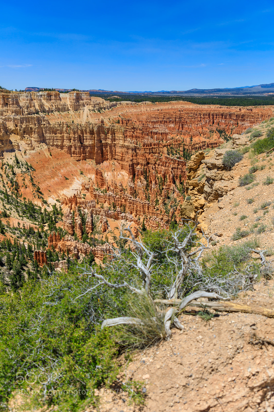 Canon EOS 5D Mark IV sample photo. Bryce canyon national park 1464 photography