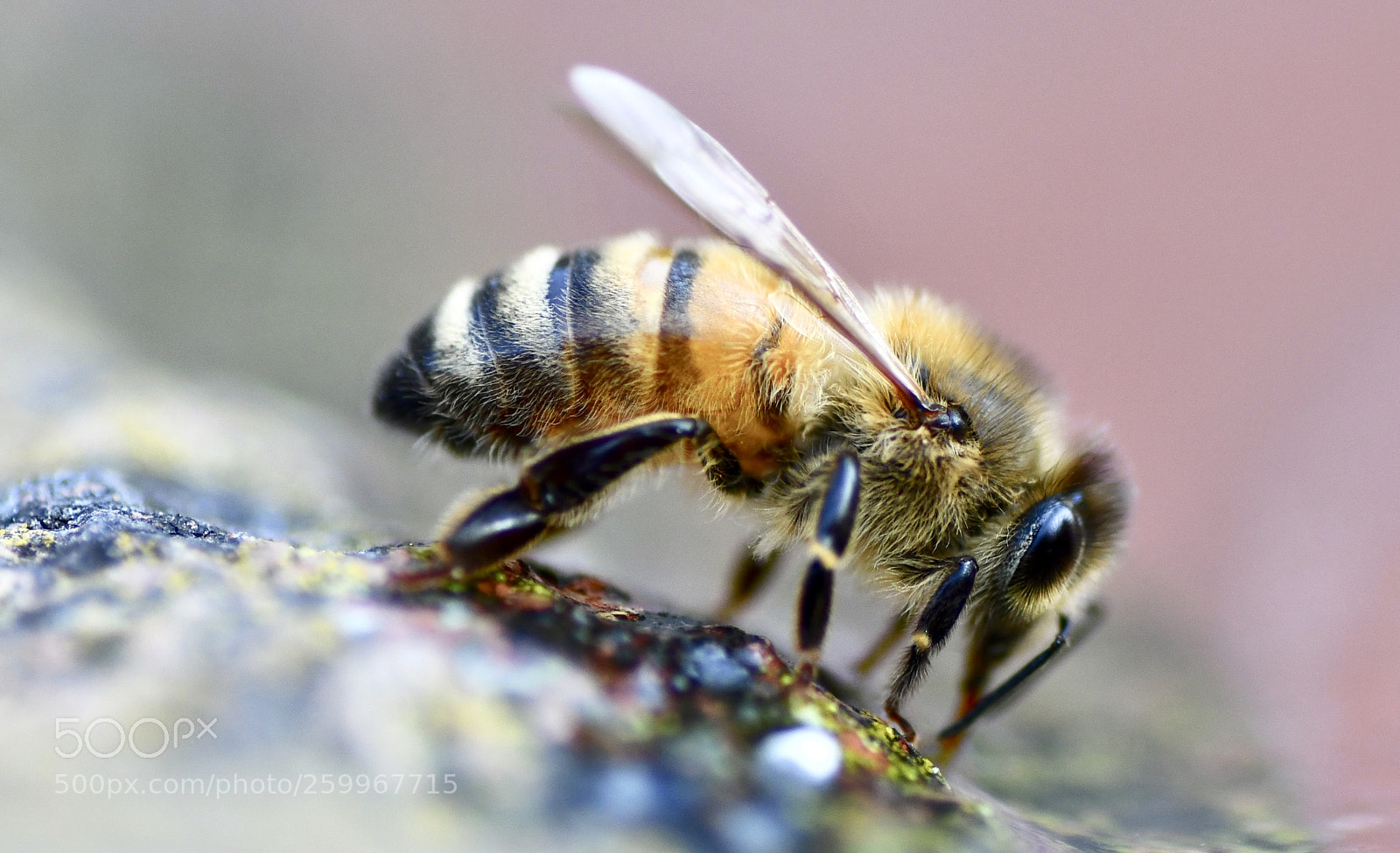 Nikon D7500 sample photo. Fullsizeoutput photography