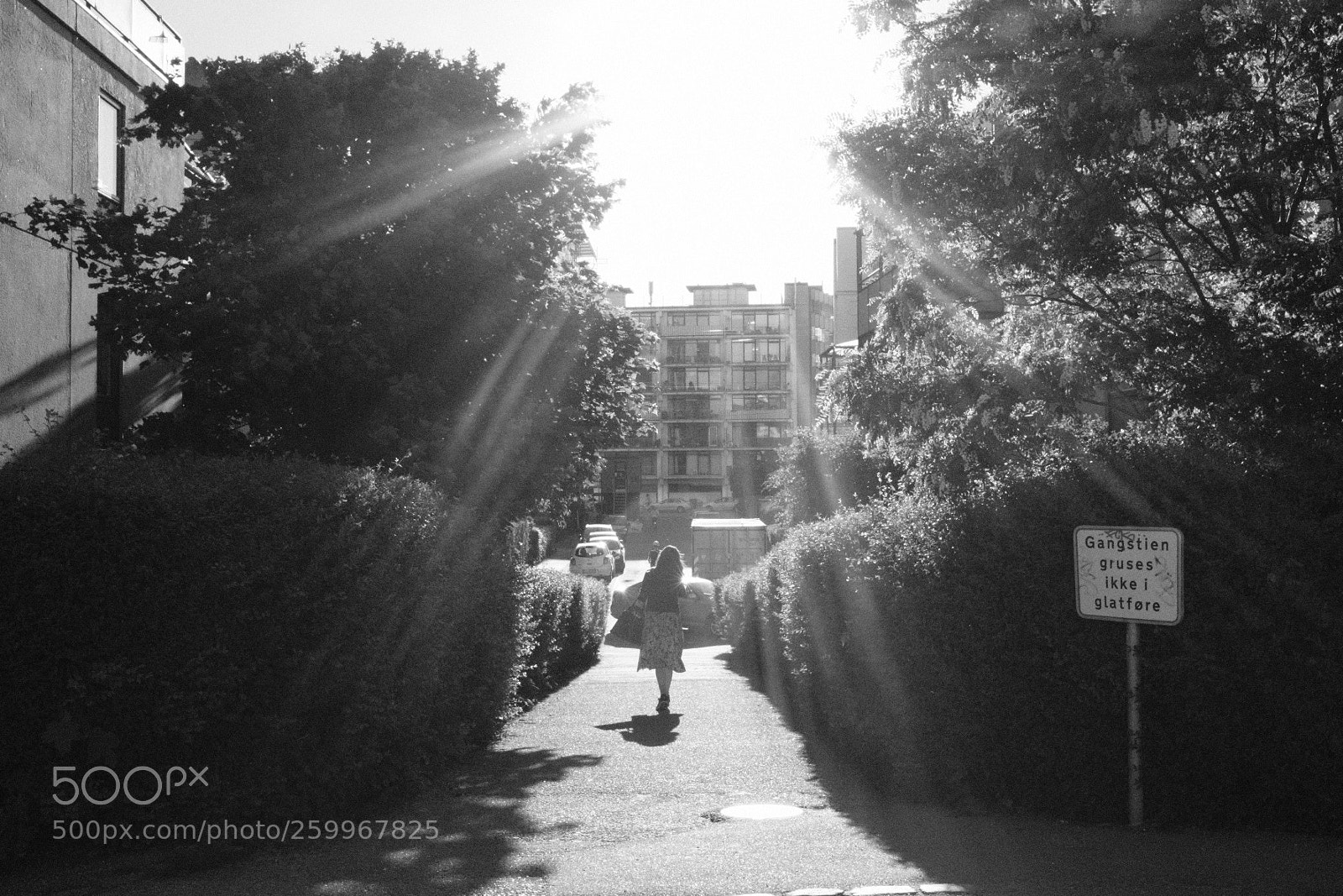 Fujifilm X100F sample photo. Untitled photography
