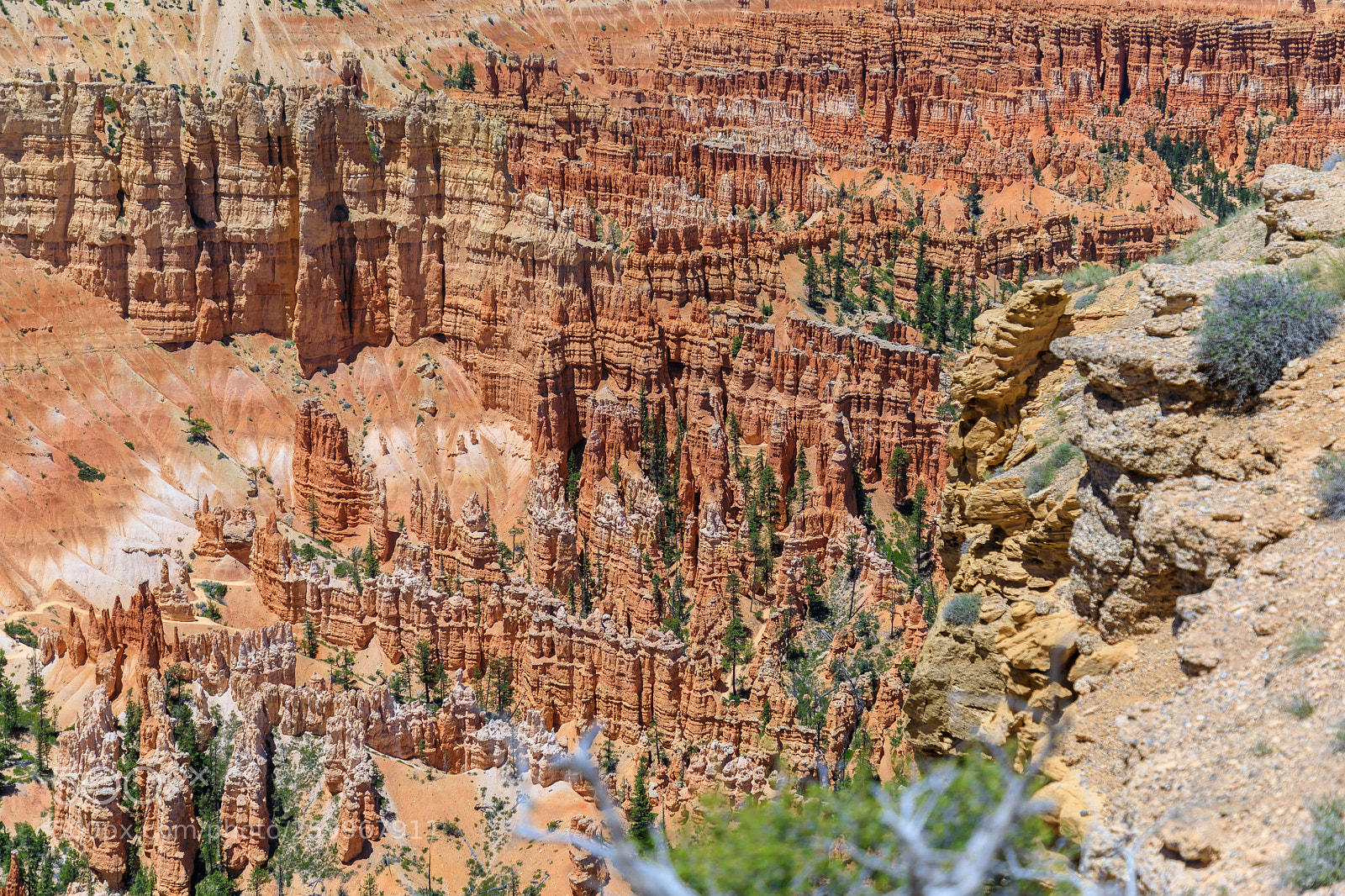 Canon EOS 5D Mark IV sample photo. Bryce canyon national park 1467 photography