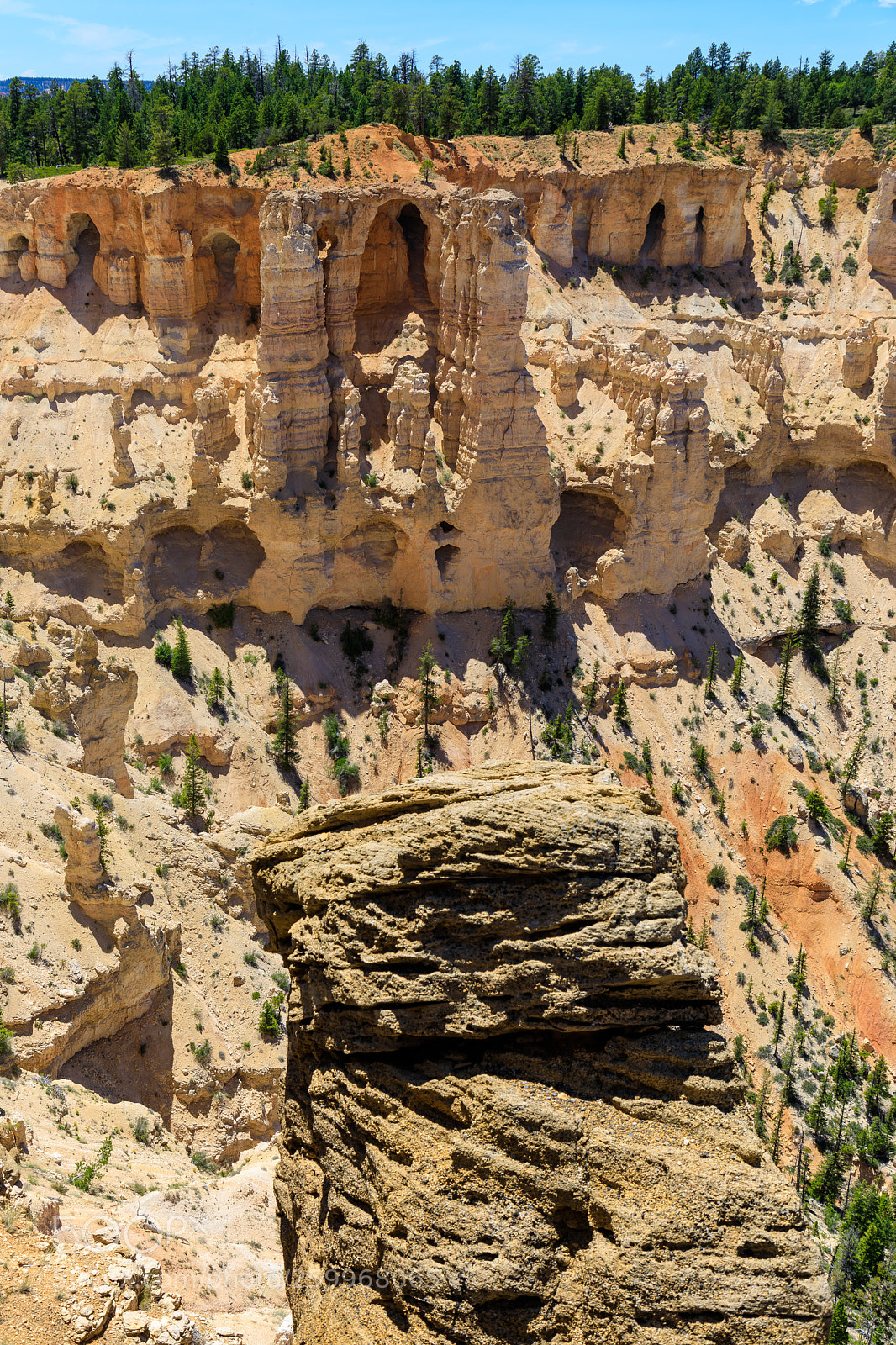 Canon EOS 5D Mark IV sample photo. Bryce canyon national park 1531 photography