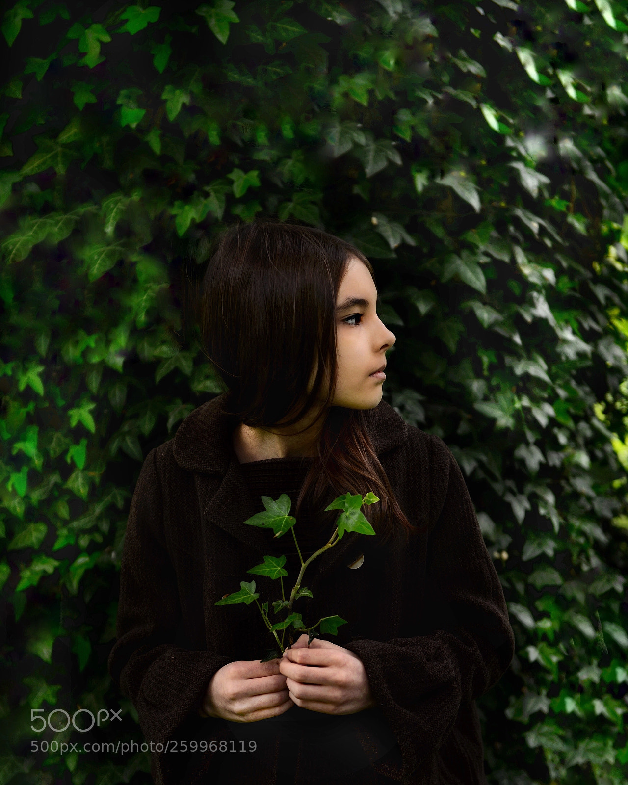 Nikon D800 sample photo. Untitled photography
