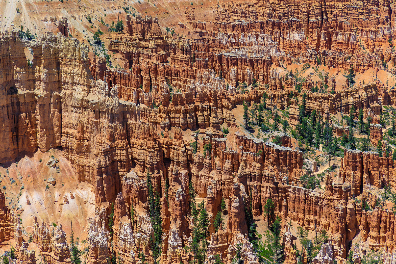 Canon EOS 5D Mark IV sample photo. Bryce canyon national park 1534 photography
