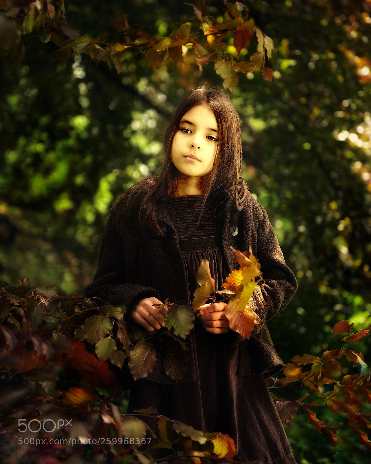 Nikon D800 sample photo. Untitled photography