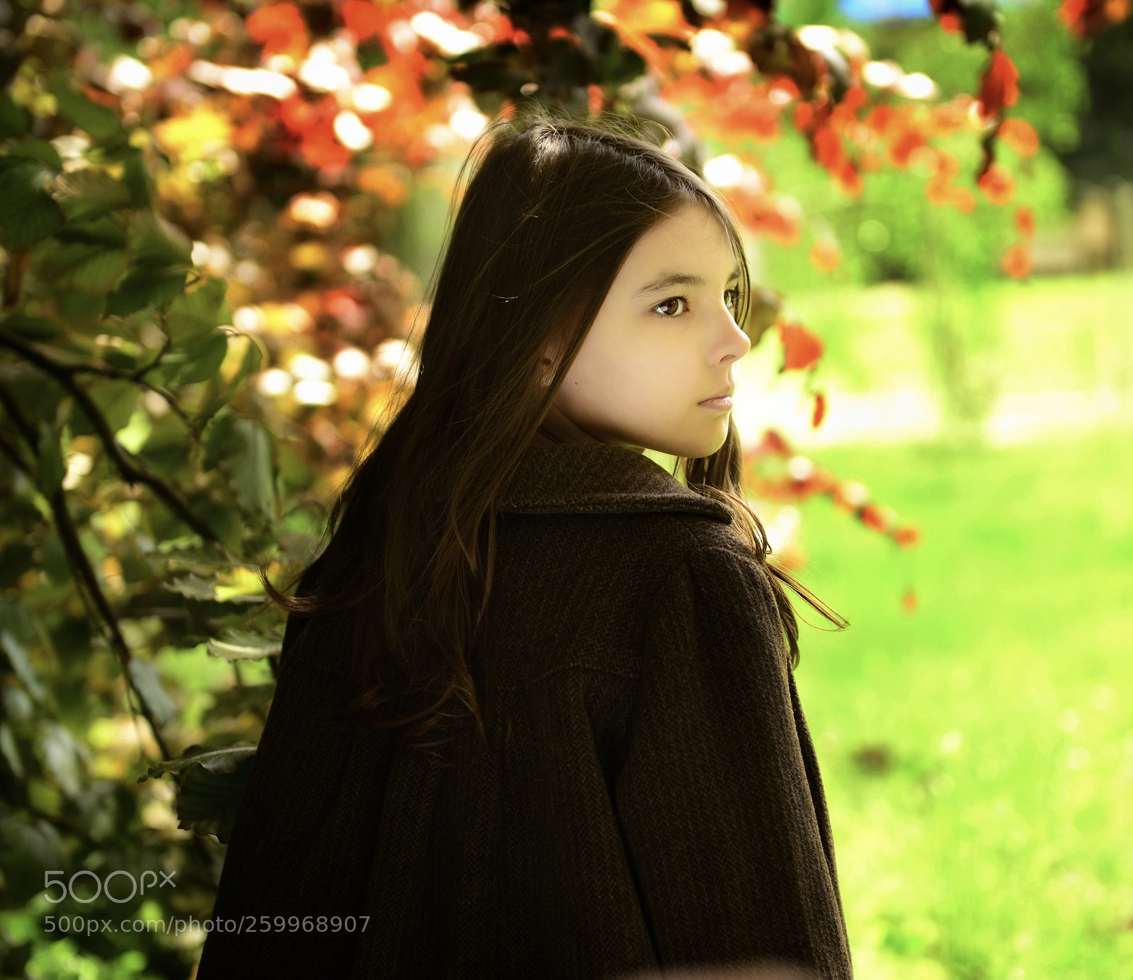 Nikon D800 sample photo. Untitled photography
