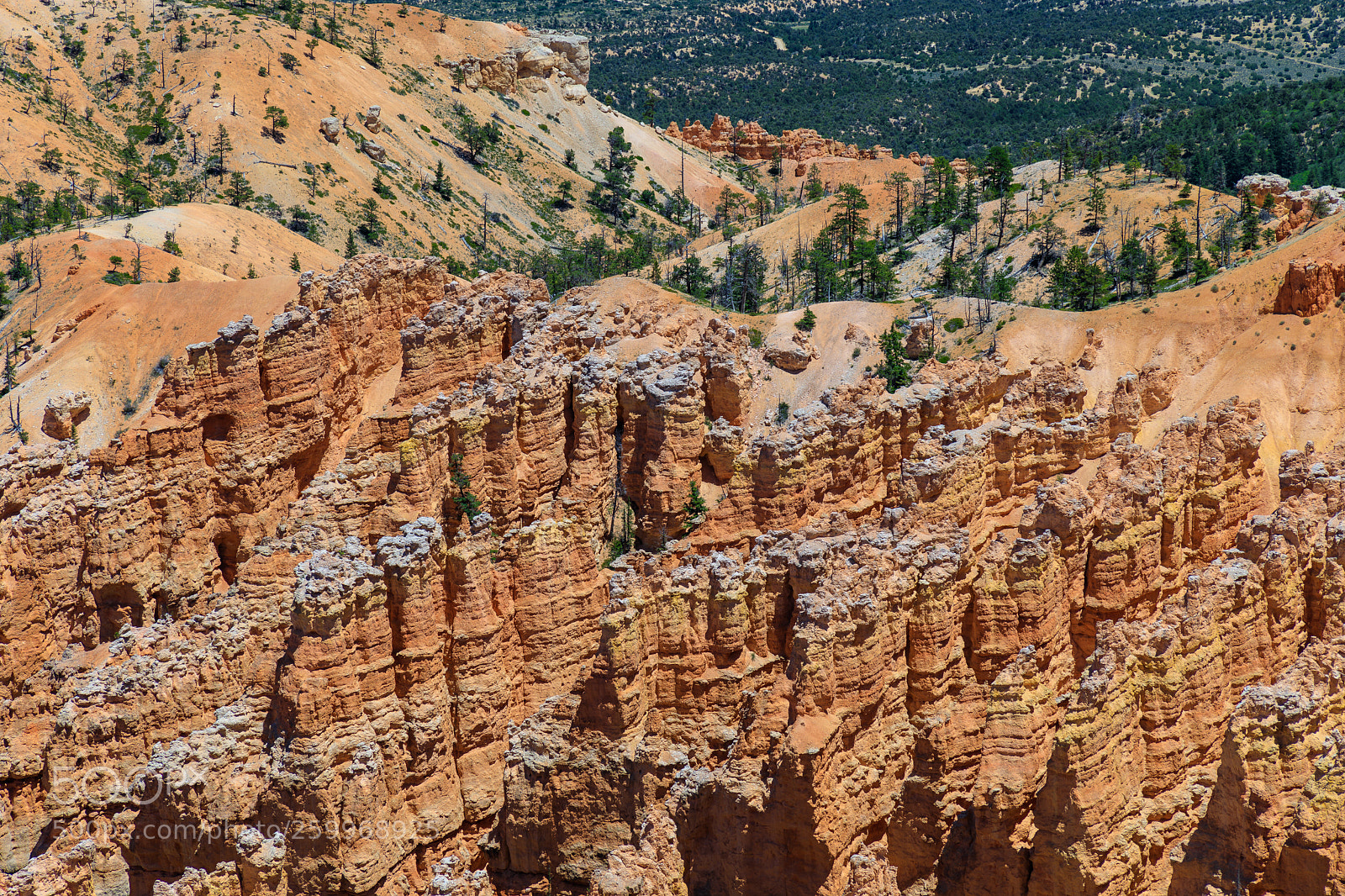Canon EOS 5D Mark IV sample photo. Bryce canyon national park 1537 photography