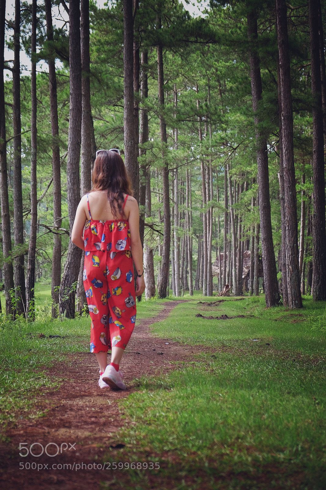 Fujifilm X-E2 sample photo. In the forest photography