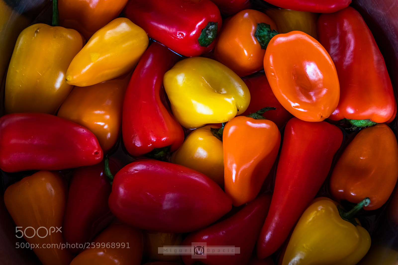 Nikon D5 sample photo. Sweet peppers photography