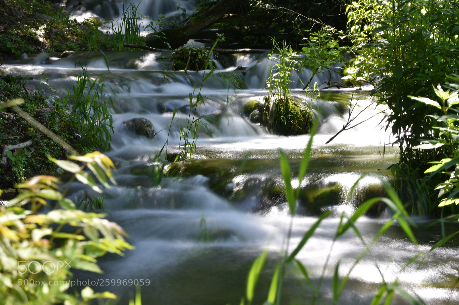 Nikon D750 sample photo. Slow water photography