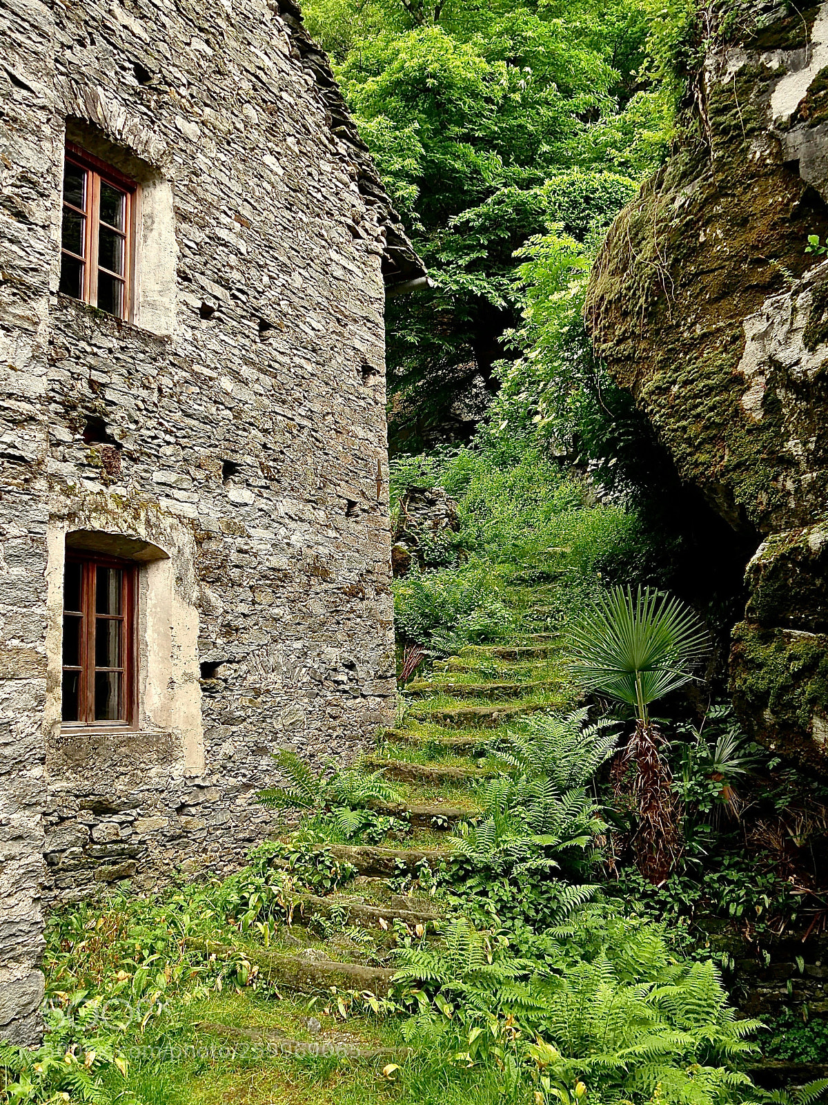 Panasonic Lumix DMC-GX85 (Lumix DMC-GX80 / Lumix DMC-GX7 Mark II) sample photo. Old stones and green photography