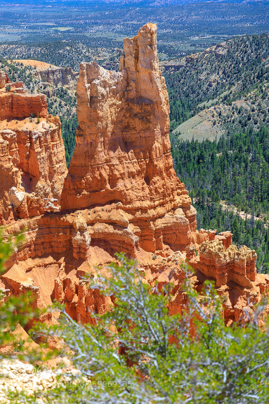 Canon EOS 5D Mark IV sample photo. Bryce canyon national park 1555 photography