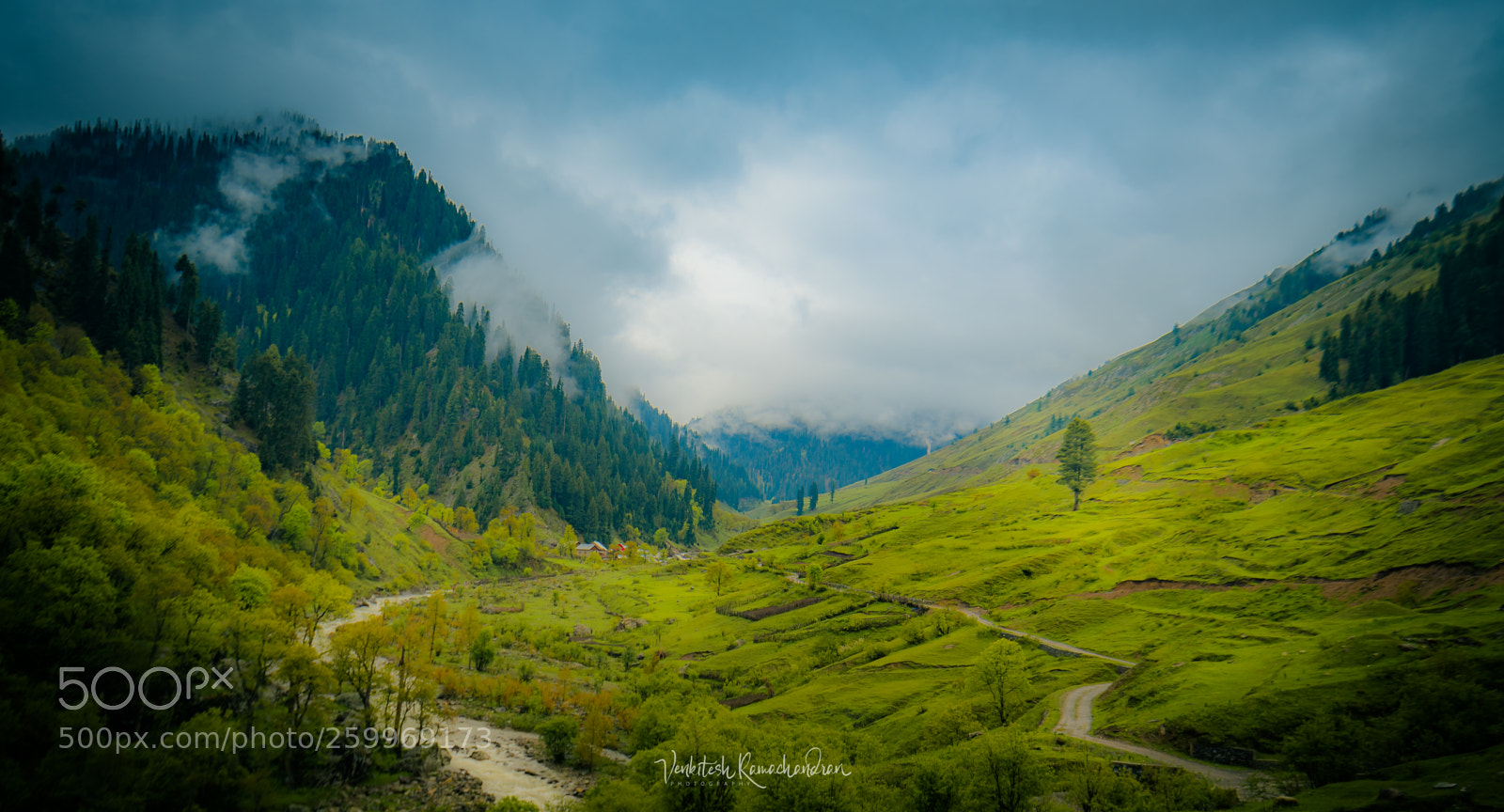 Nikon D750 sample photo. A morning view in photography