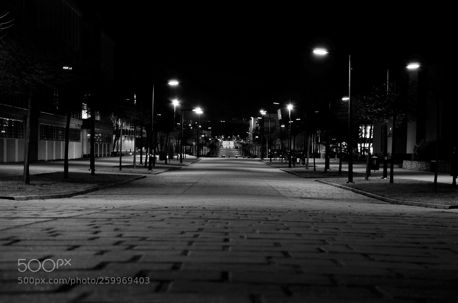 Nikon D5100 sample photo. Night walk photography