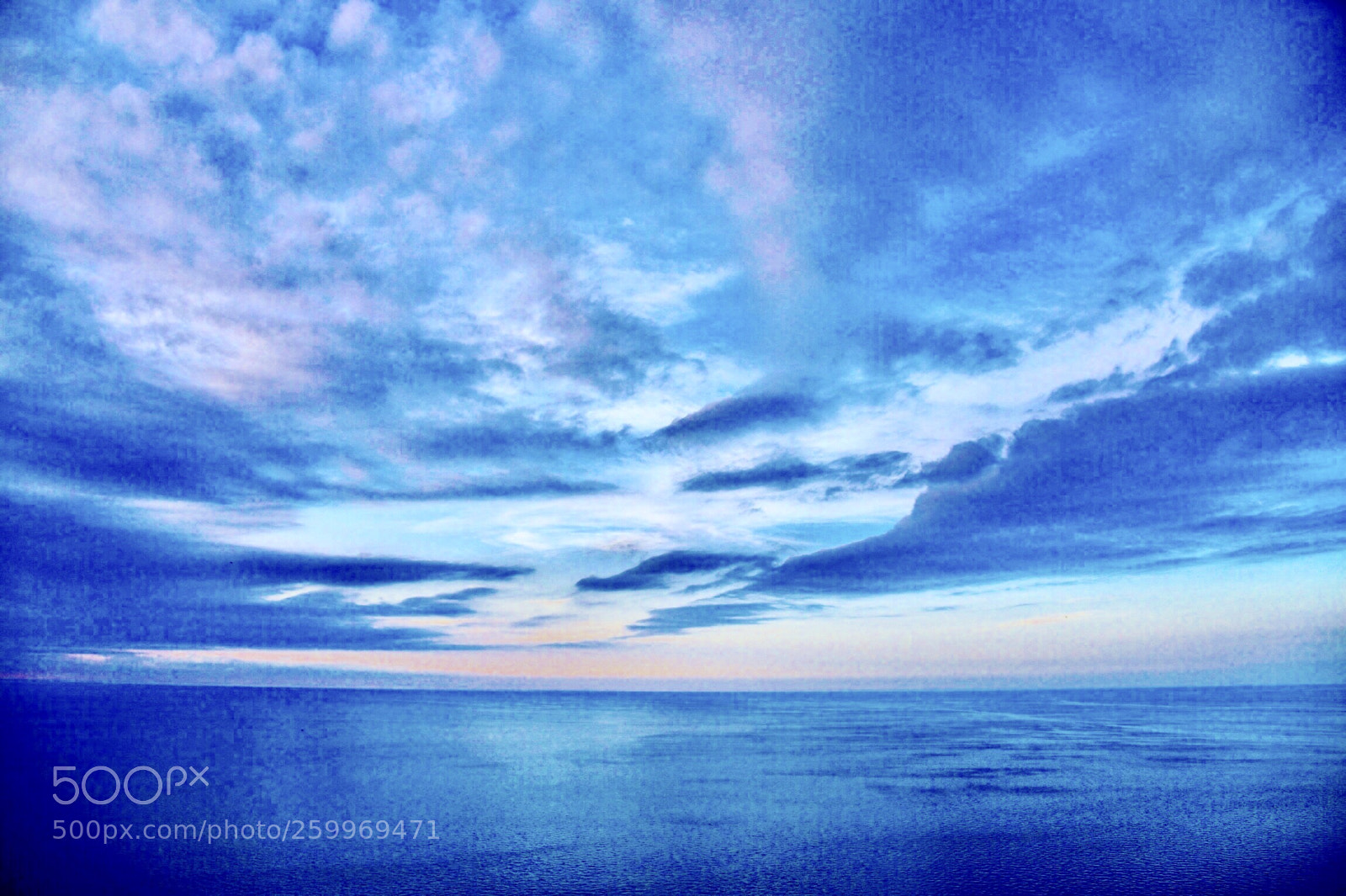 Nikon D750 sample photo. Blue love photography