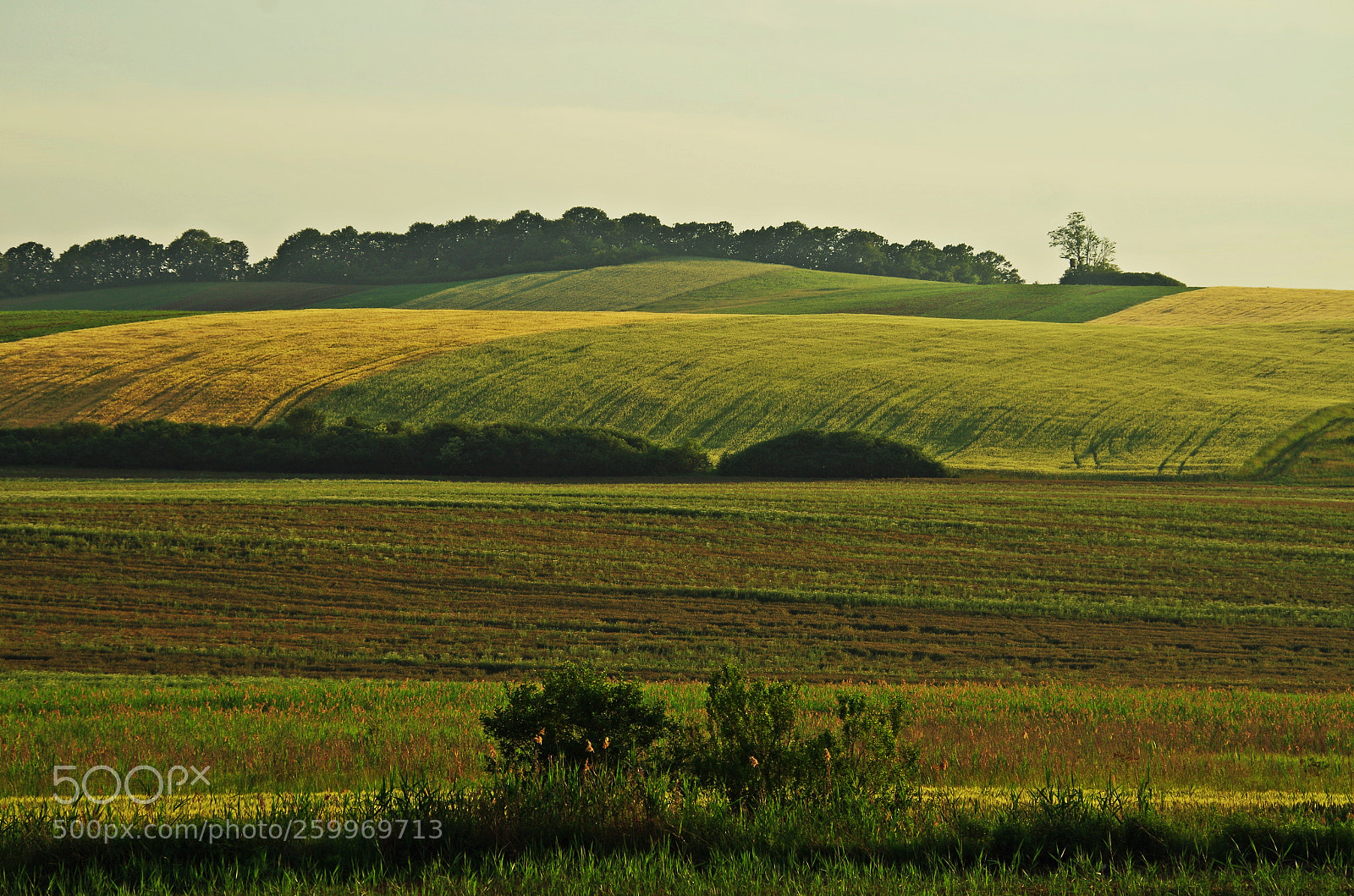 Pentax K-50 sample photo. Out in the fields photography