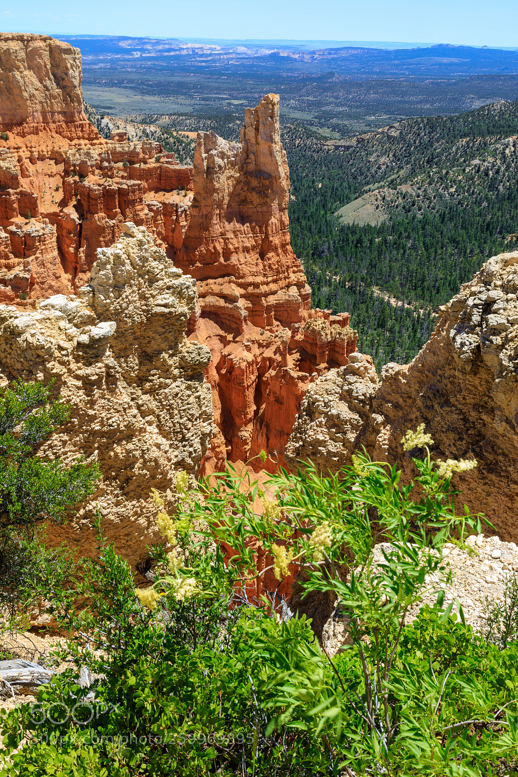 Canon EOS 5D Mark IV sample photo. Bryce canyon national park 1571 photography