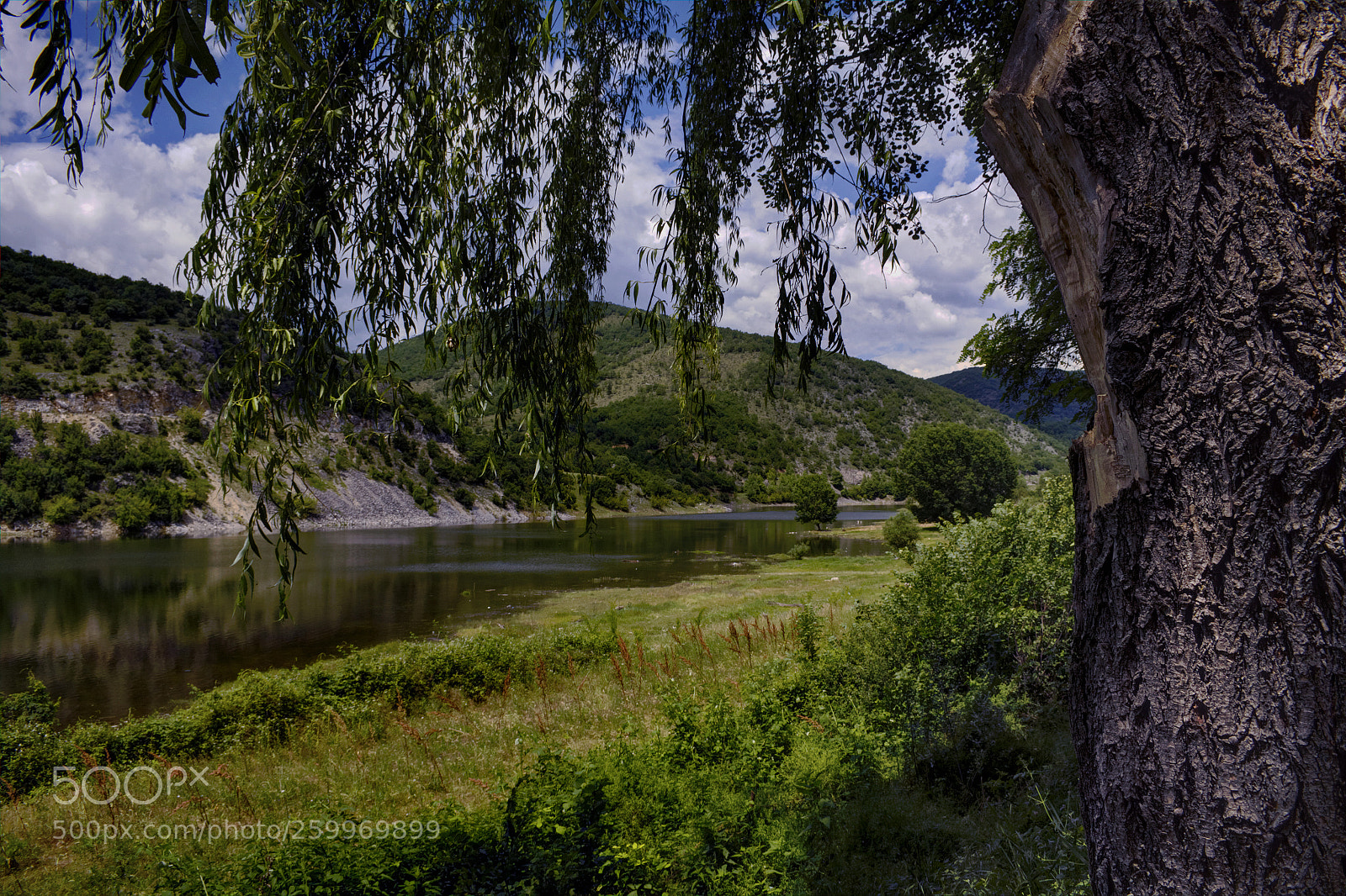 Canon EOS 50D sample photo. Potamoi photography