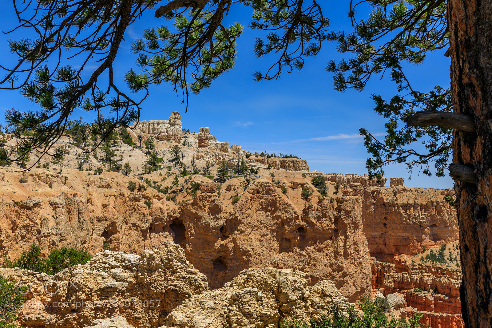 Canon EOS 5D Mark IV sample photo. Bryce canyon national park 1574 photography