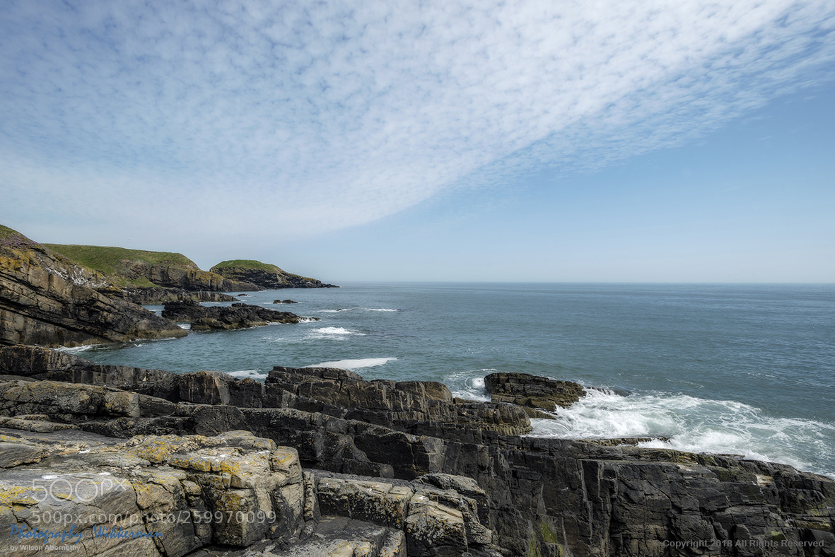 Nikon D800E sample photo. Thirds photography