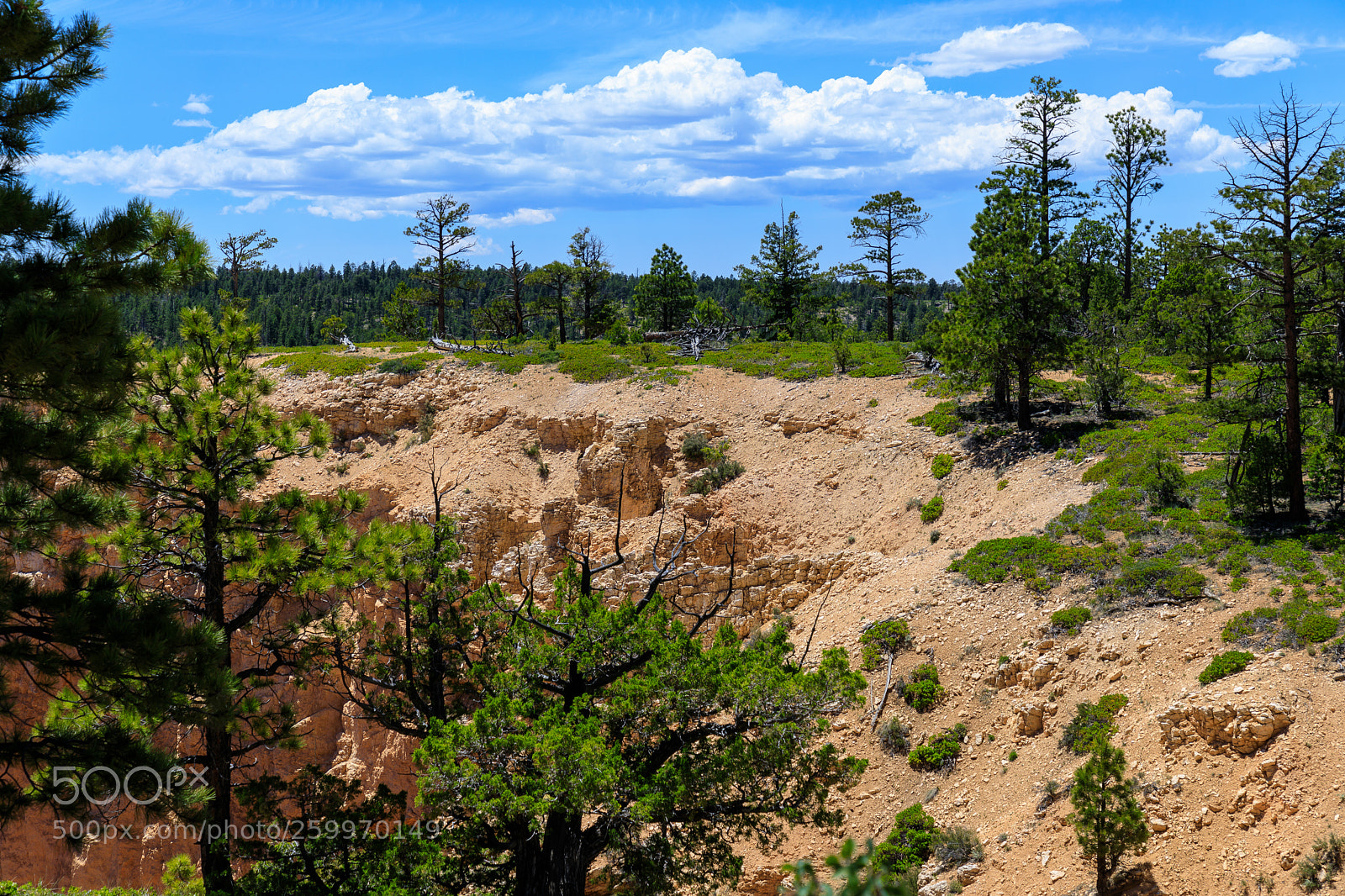 Canon EOS 5D Mark IV sample photo. Bryce canyon national park 1586 photography
