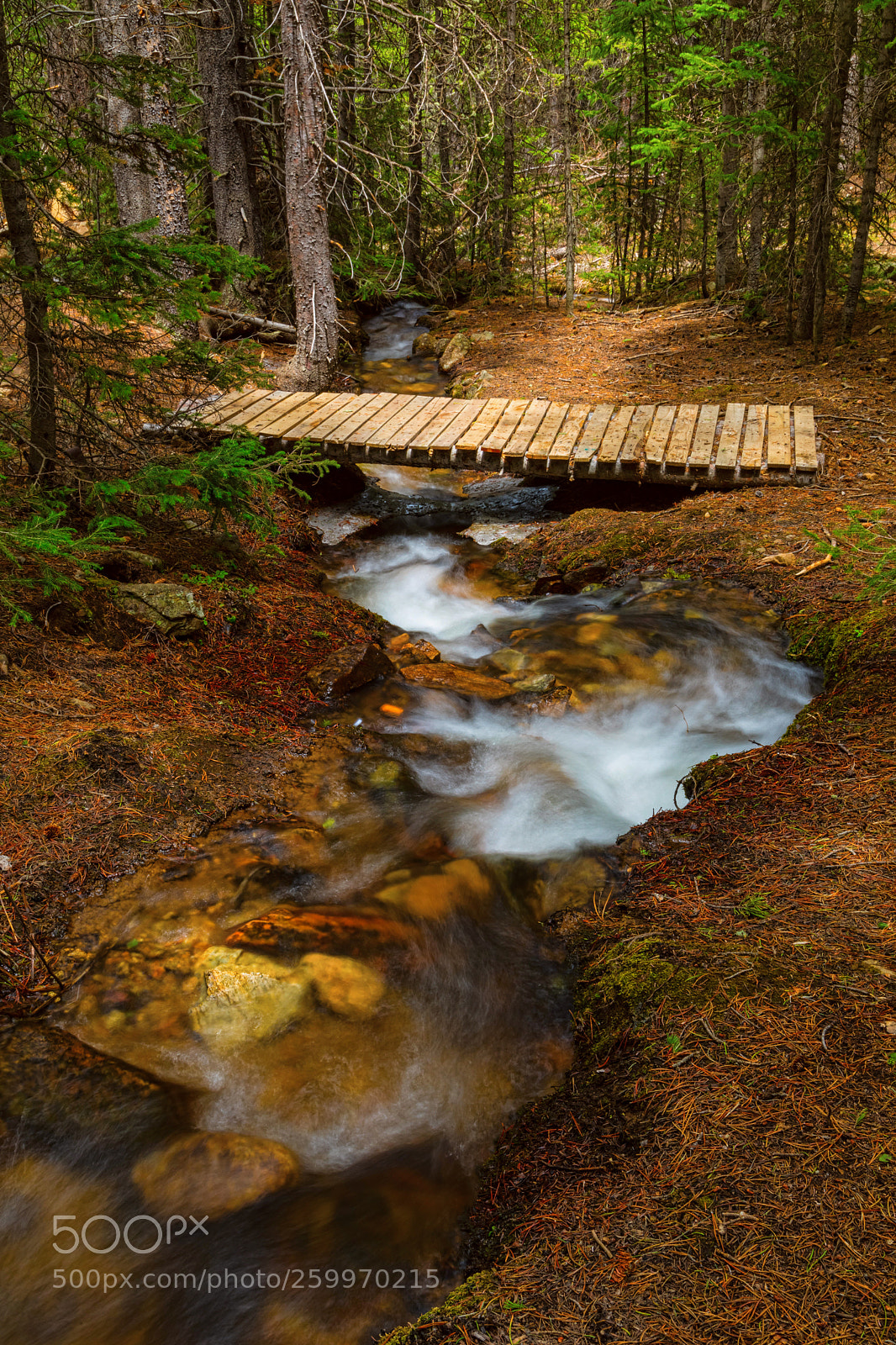 Canon EOS 5D Mark IV sample photo. Peaceful crossing photography