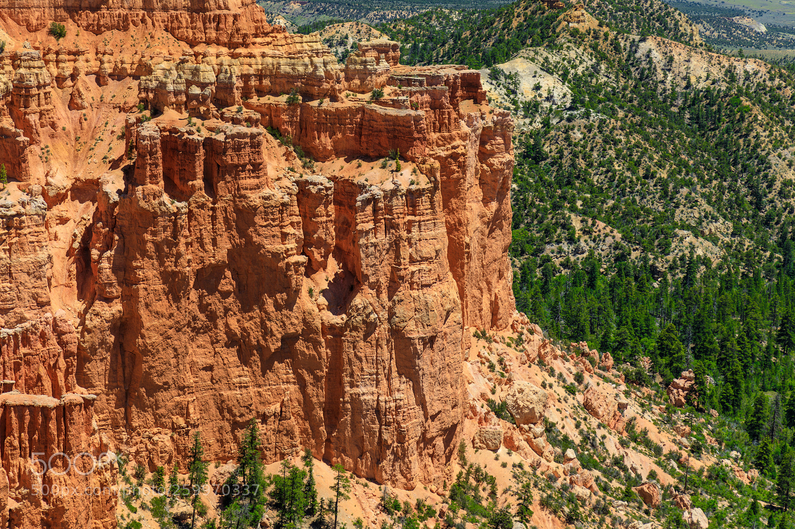 Canon EOS 5D Mark IV sample photo. Bryce canyon national park 1590 photography
