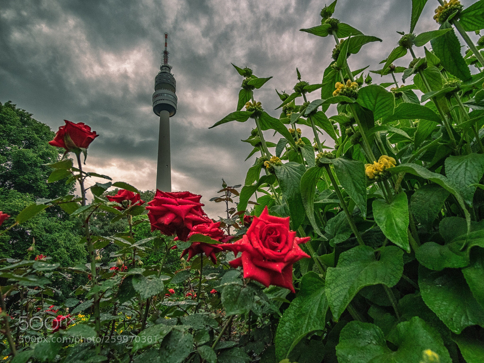 Fujifilm X-T1 sample photo. Westfalenpark  photography