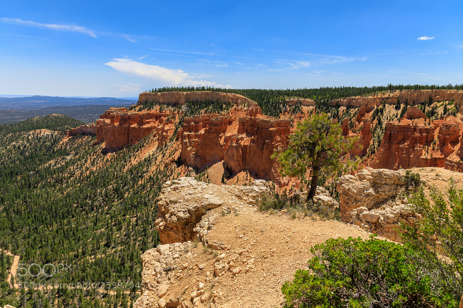 Canon EOS 5D Mark IV sample photo. Bryce canyon national park 1595 photography