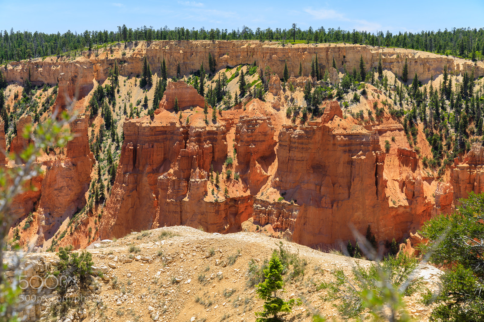Canon EOS 5D Mark IV sample photo. Bryce canyon national park 1605 photography