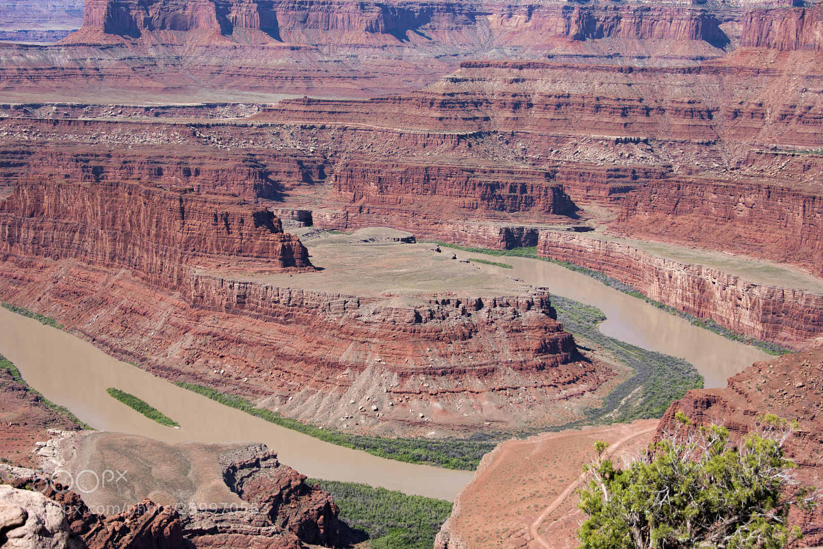 Nikon D610 sample photo. Dead horse point canyon photography