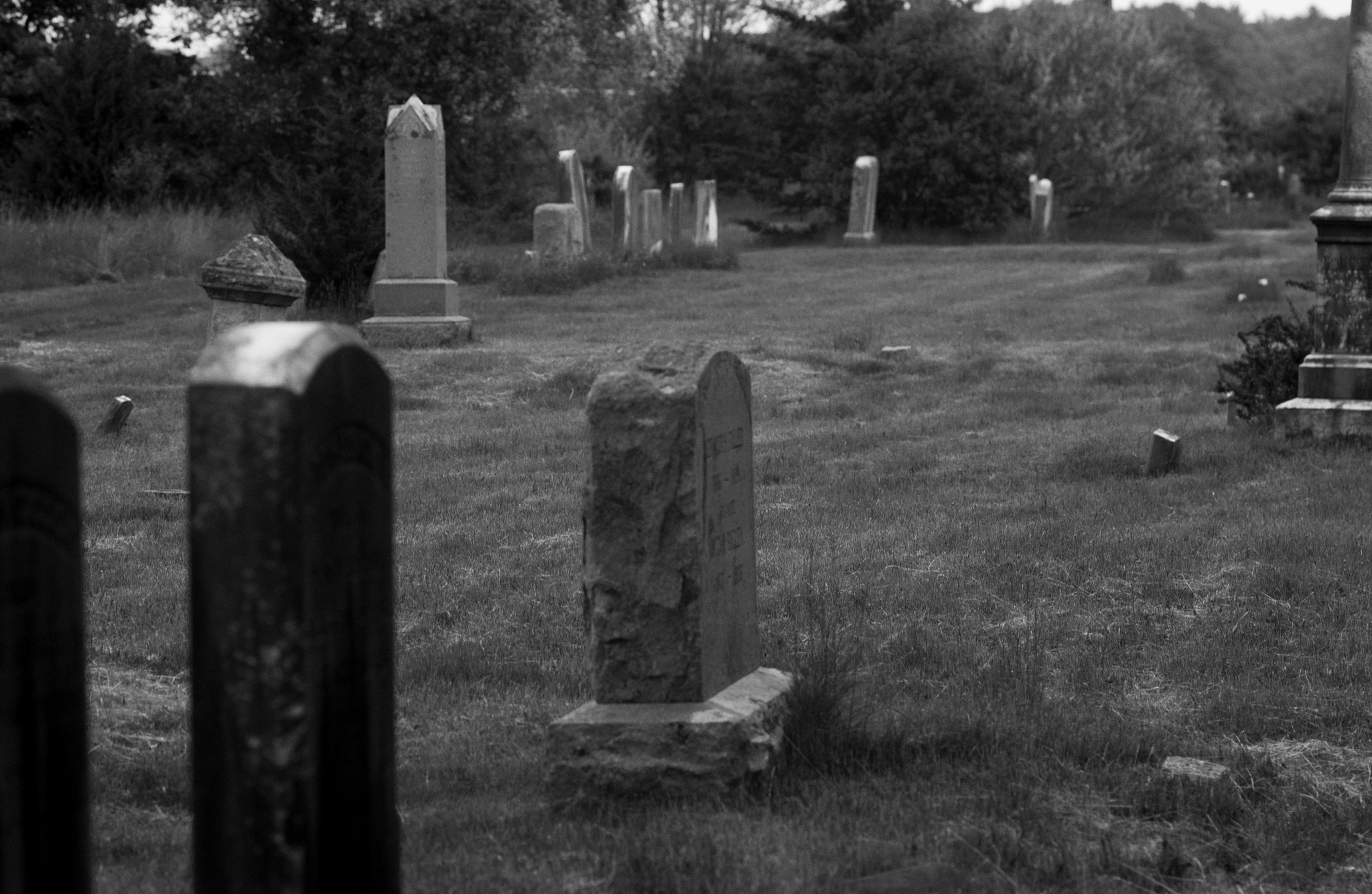 Nikon D1X sample photo. Standing stones photography