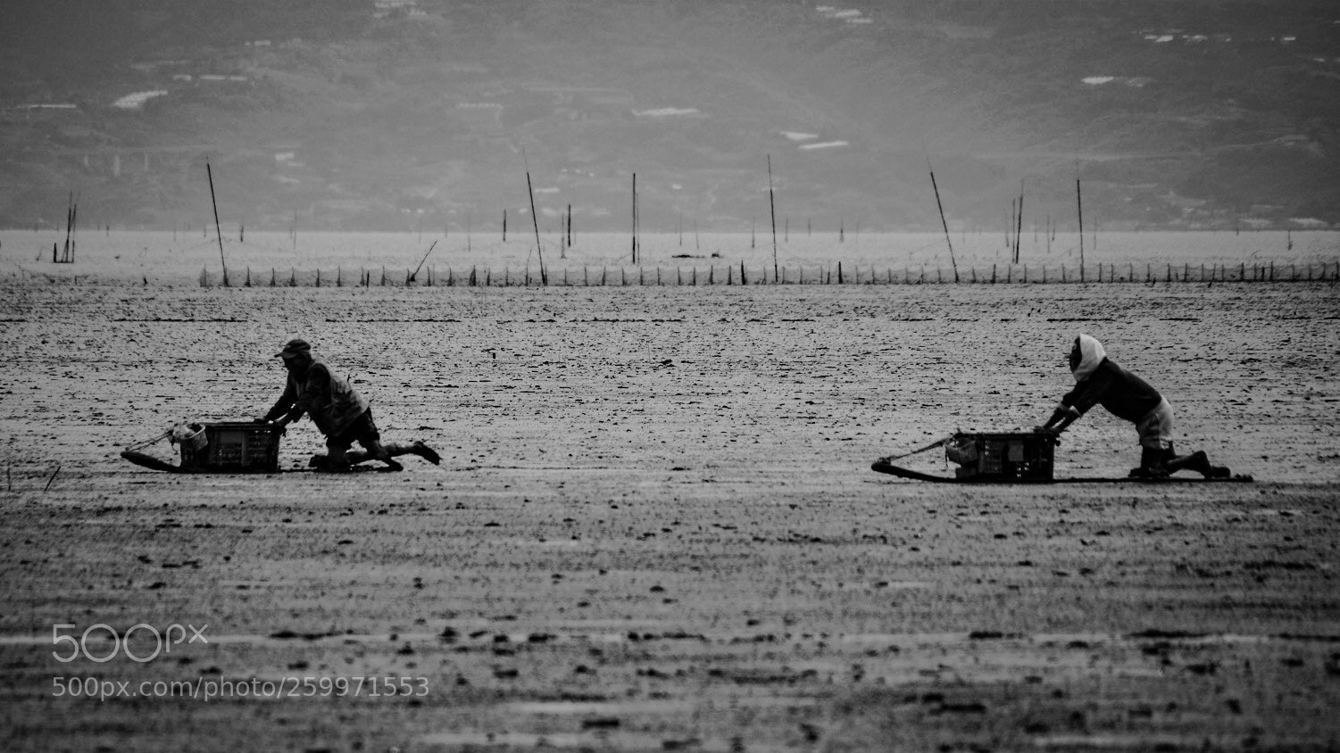 Nikon D7100 sample photo. Two fishermans works on photography