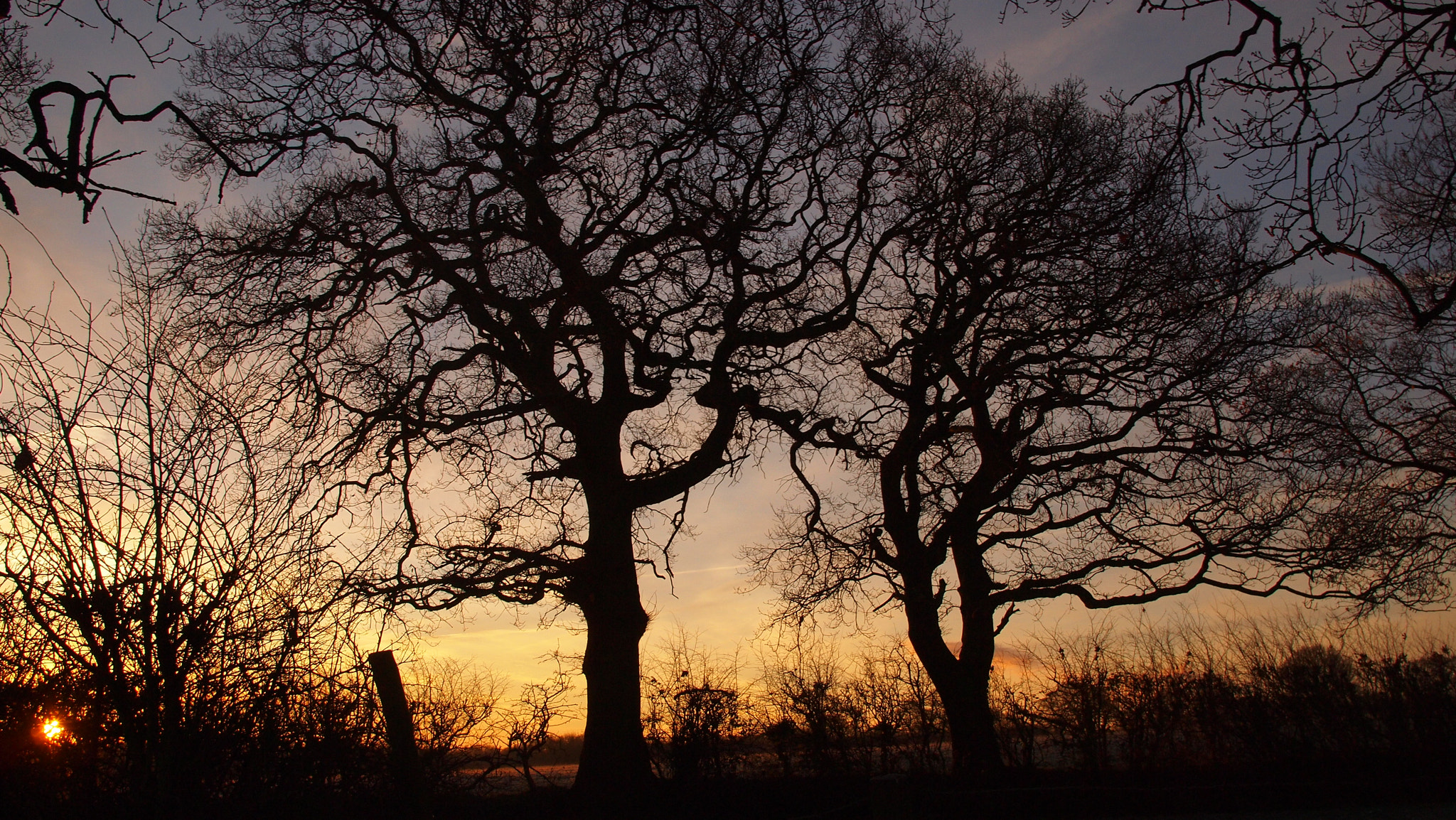 Olympus PEN E-P1 sample photo. It begins. photography