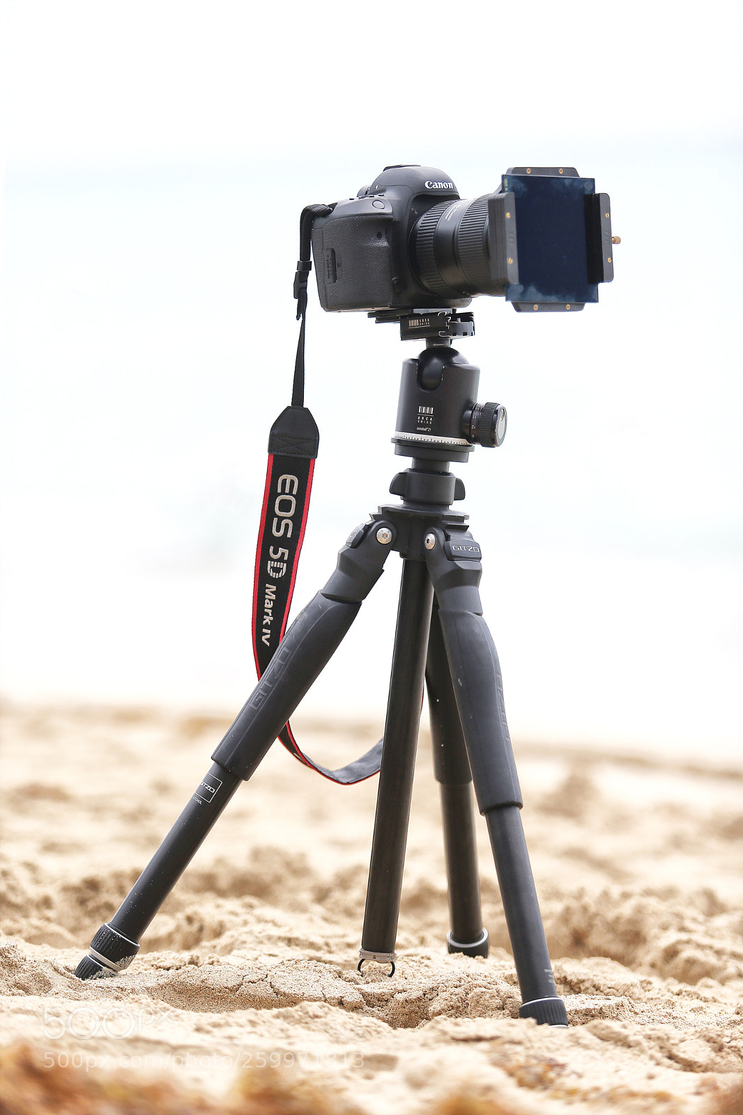 Canon EOS-1D X sample photo. Canon 5d mark iv photography