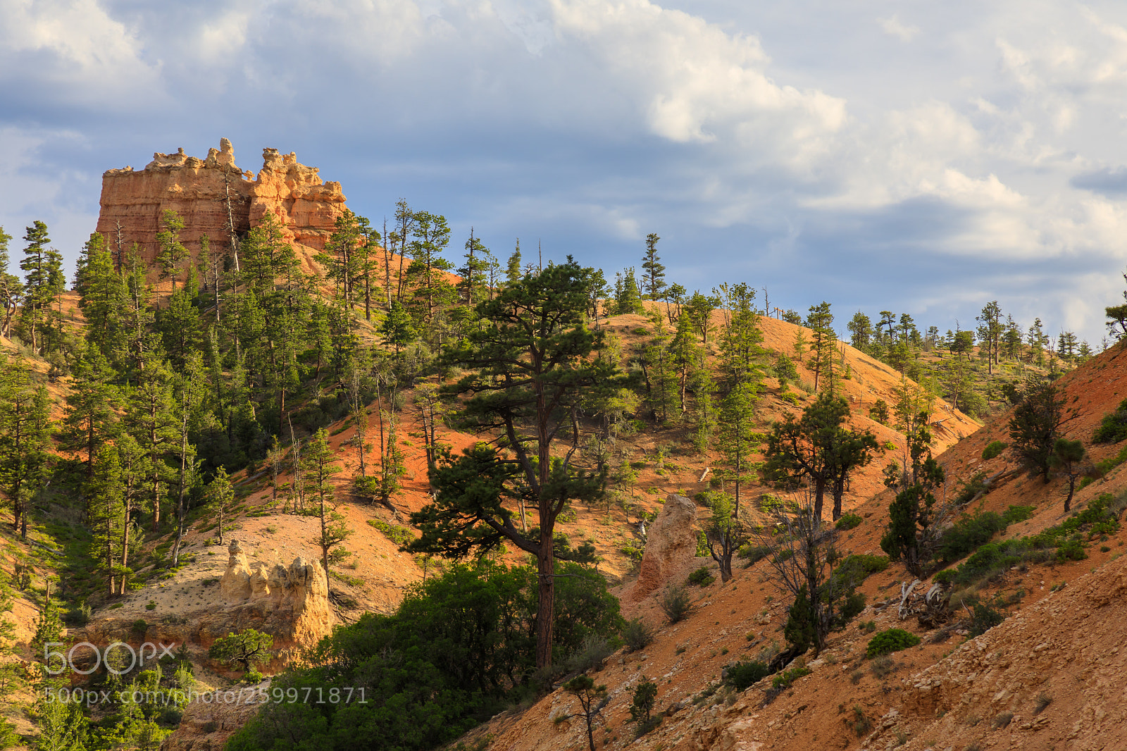 Canon EOS 5D Mark IV sample photo. Bryce canyon national park 1883 photography