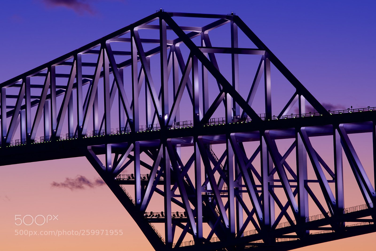 Nikon D750 sample photo. Tokyo gate bridge photography