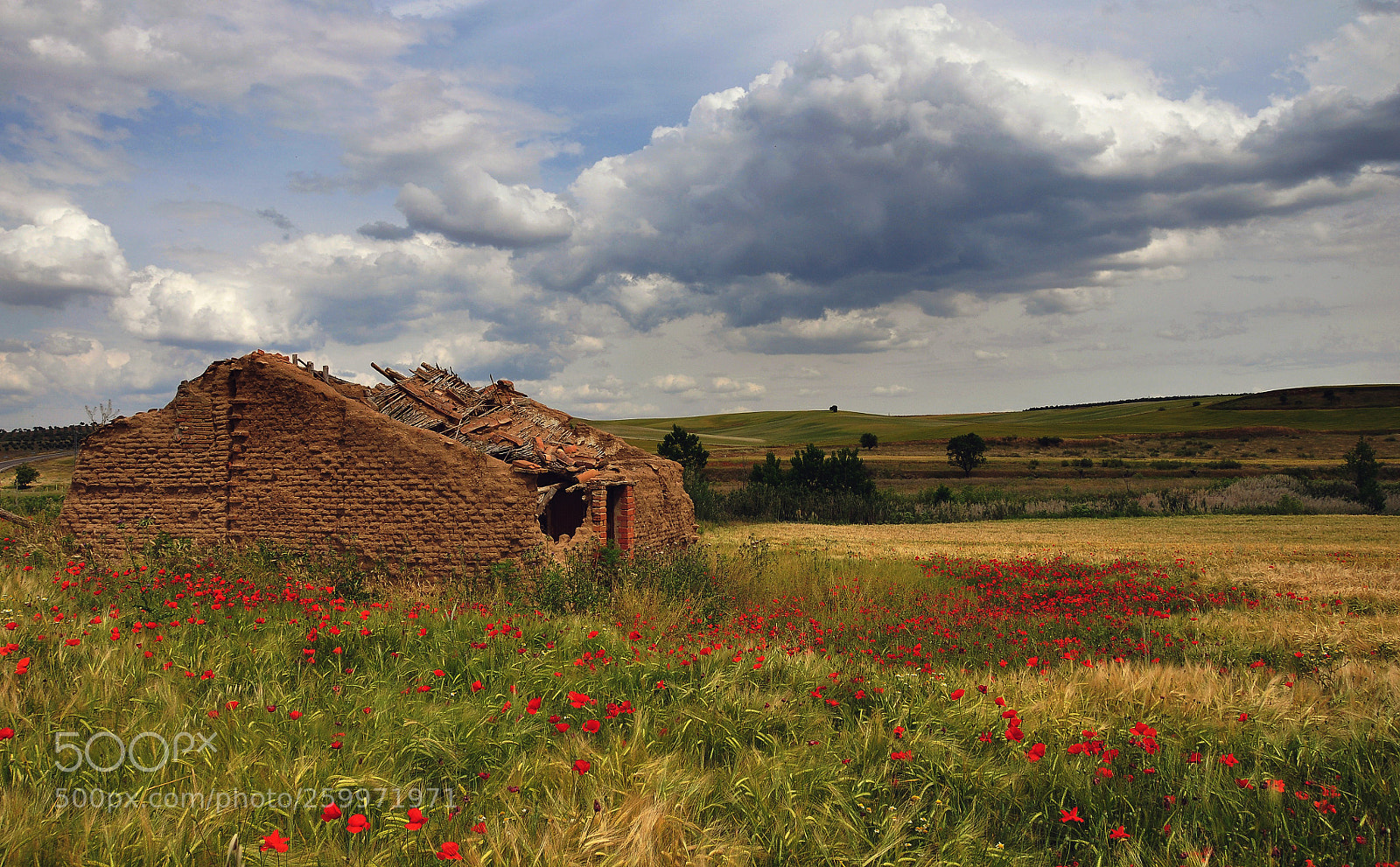 Nikon D90 sample photo. Ruins and poppies... photography
