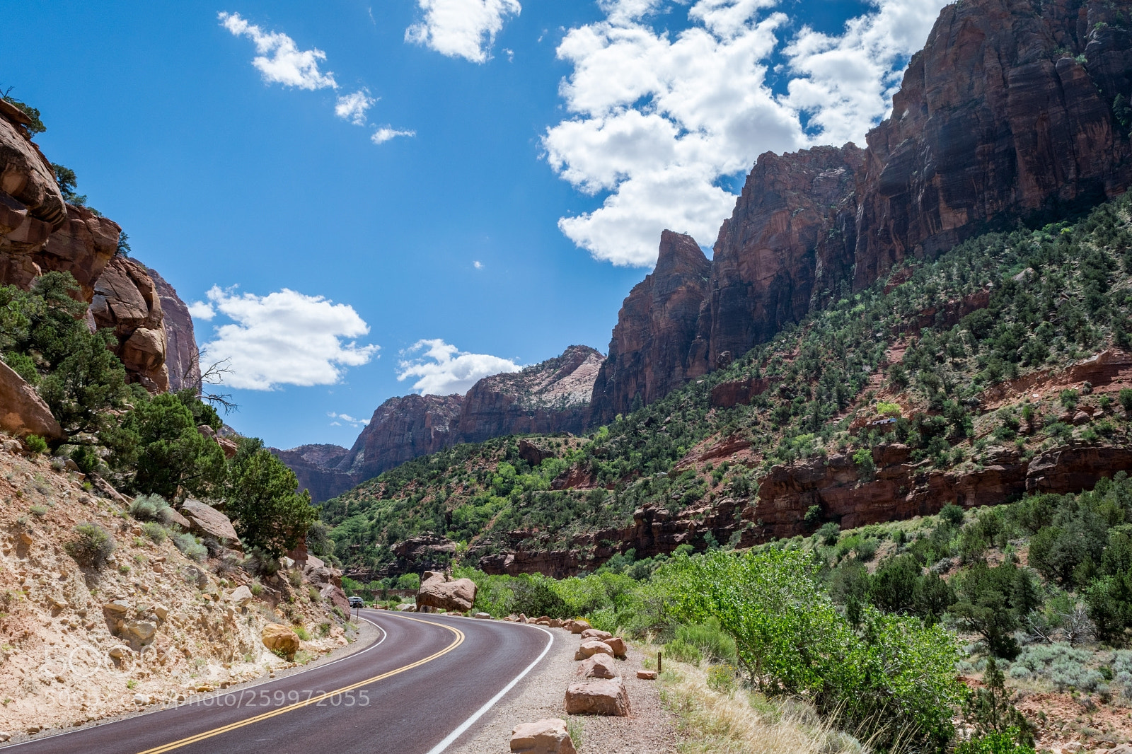 Nikon D5300 sample photo. Zion national park photography
