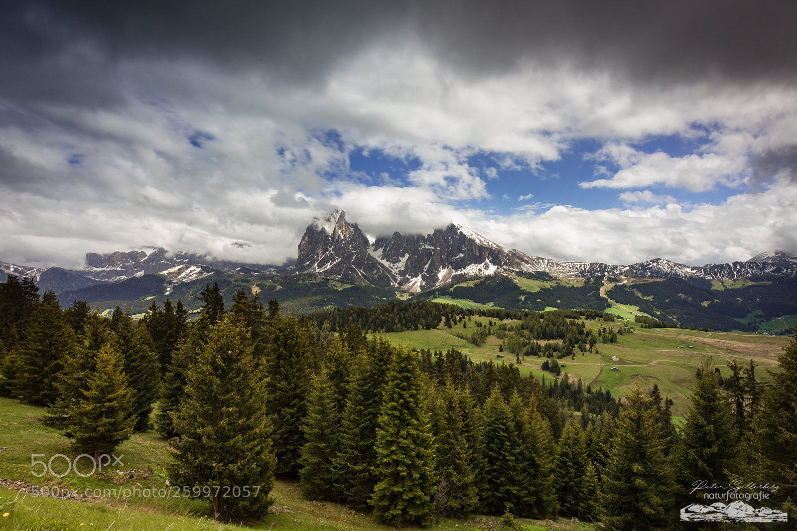 Canon EOS 5D Mark IV sample photo. Alpe di siusi photography